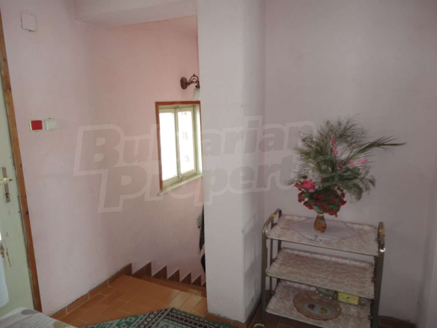 Gallery Picture 18