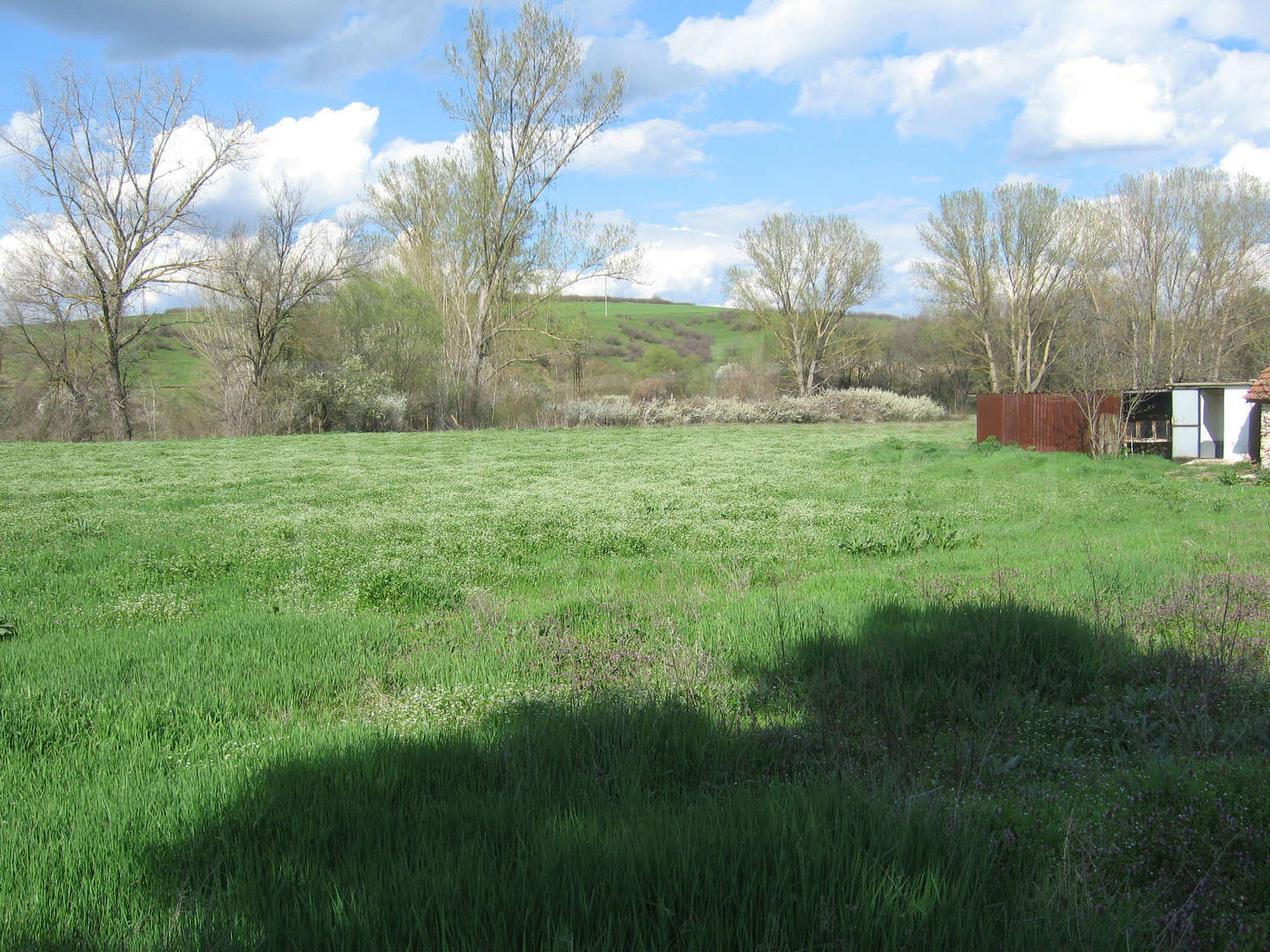 Gallery Picture 11
