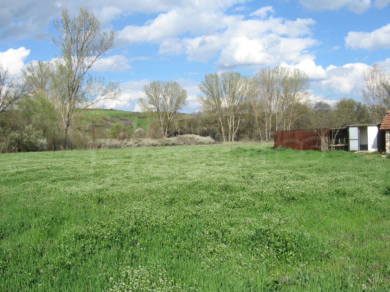 Gallery Picture 13
