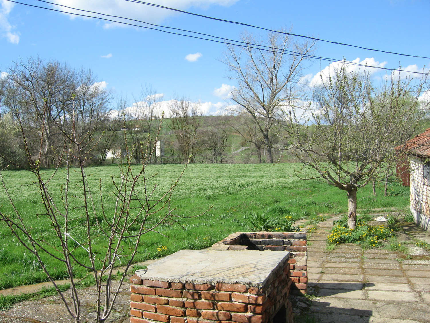 Gallery Picture 23
