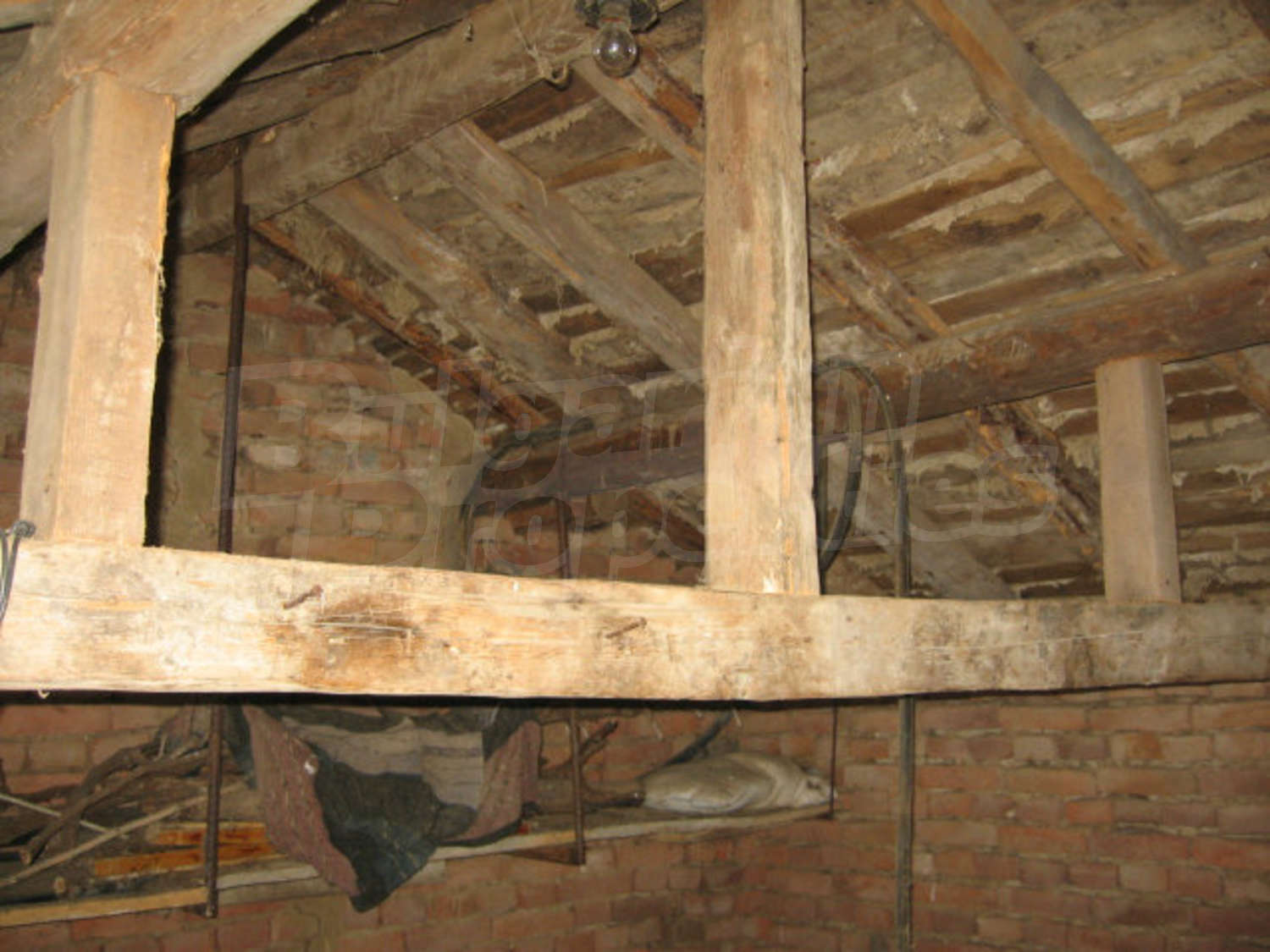 Gallery Picture 26