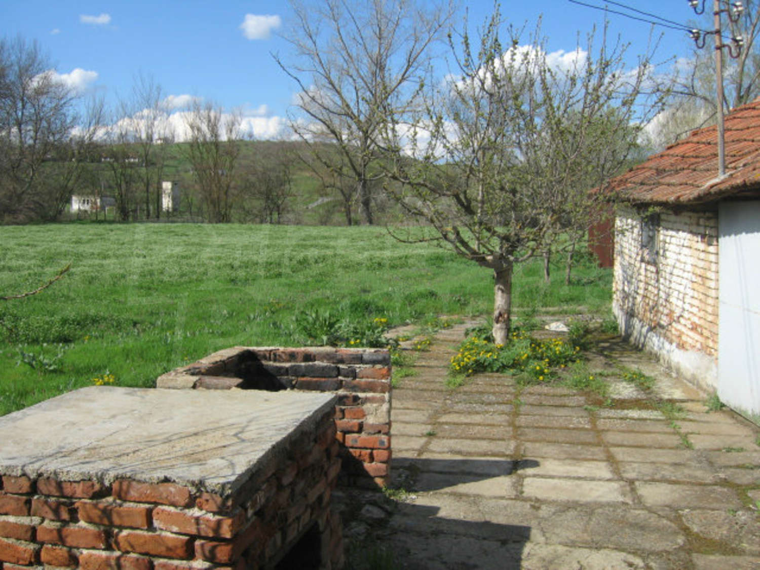 Gallery Picture 27