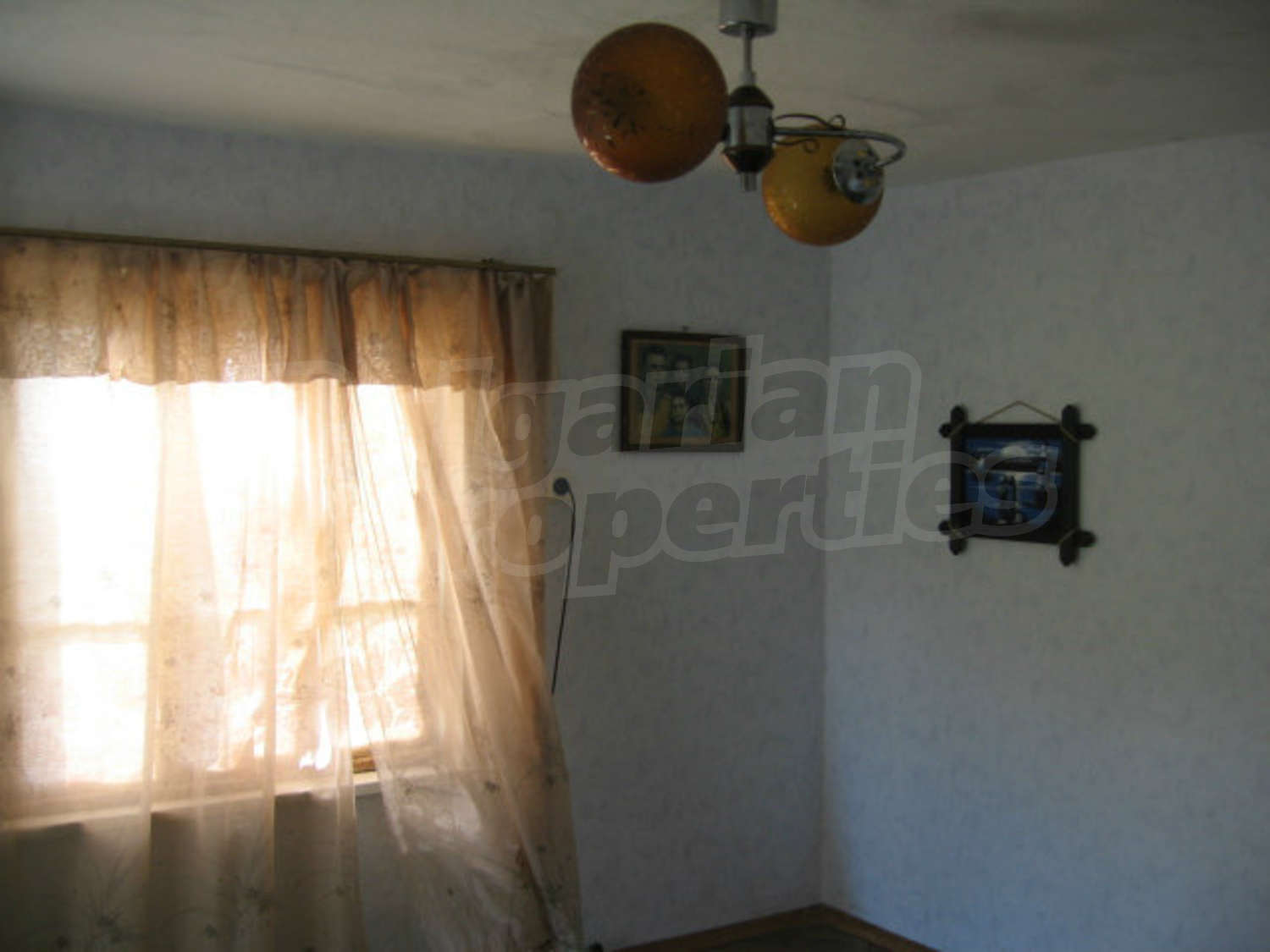 Gallery Picture 38