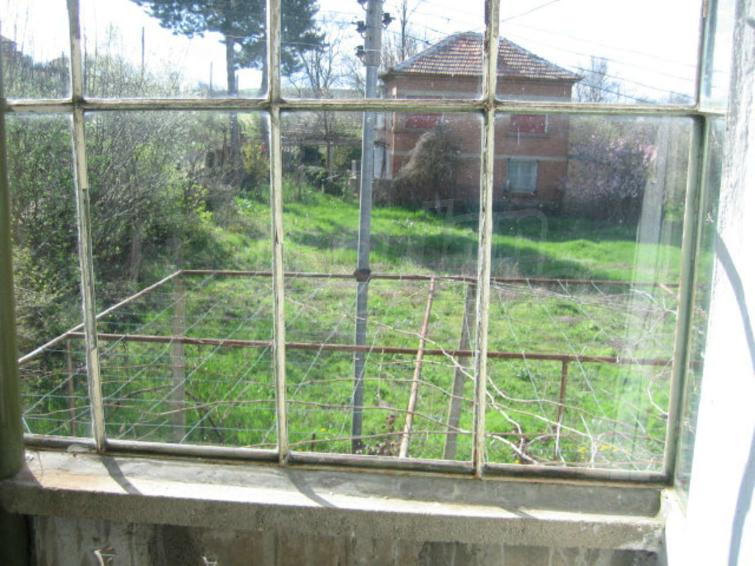 Gallery Picture 39