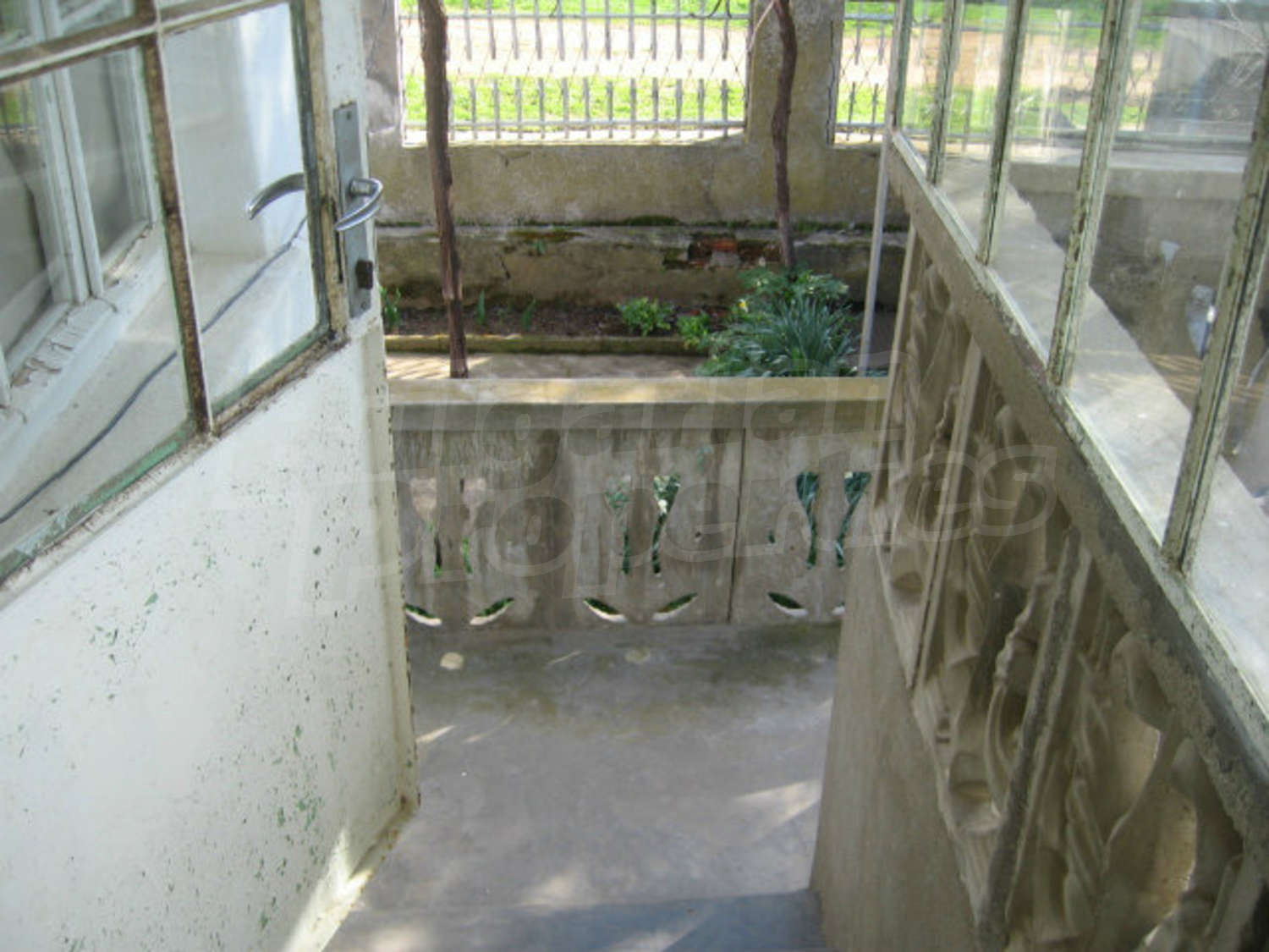 Gallery Picture 41