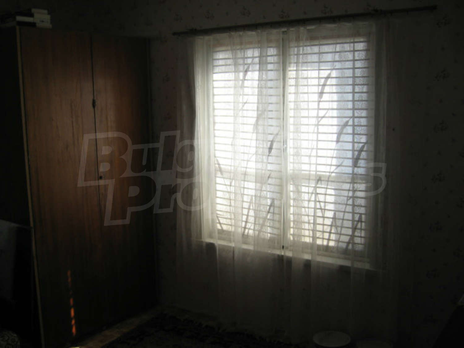 Gallery Picture 44