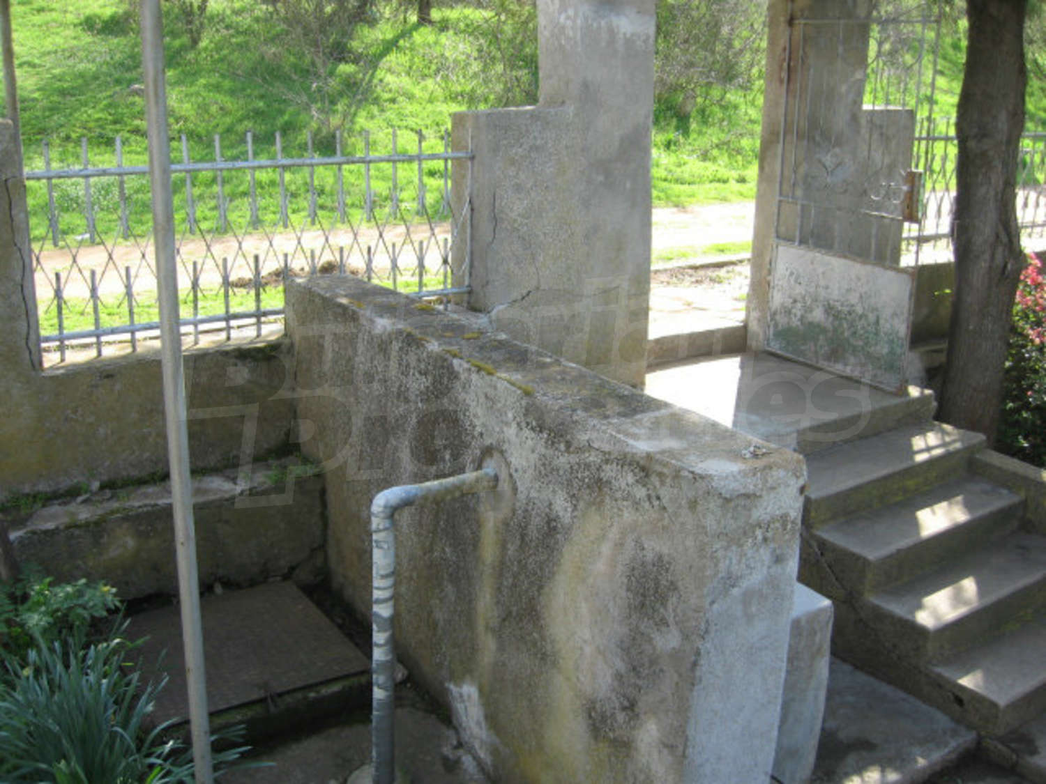 Gallery Picture 45