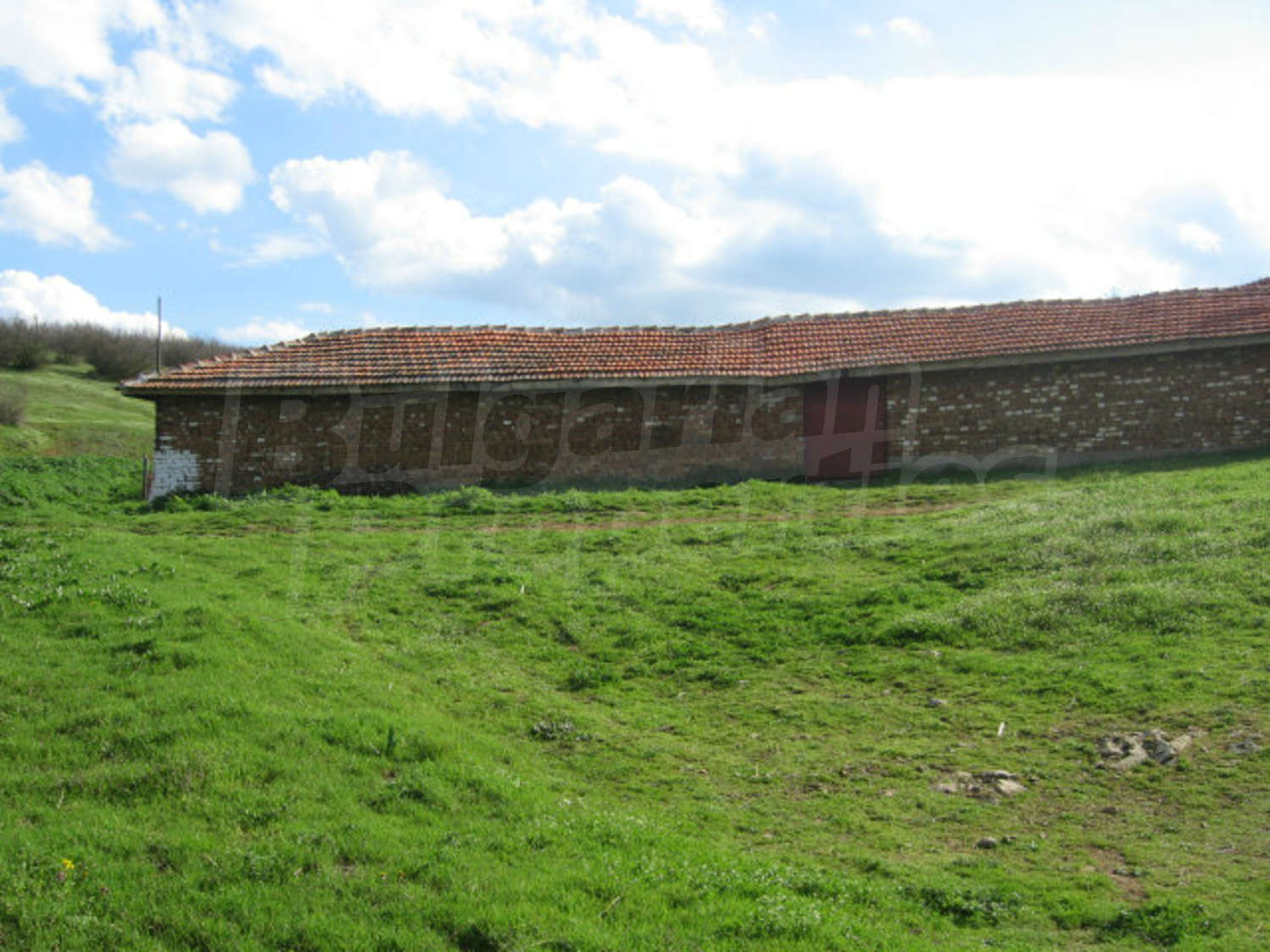 Gallery Picture 69