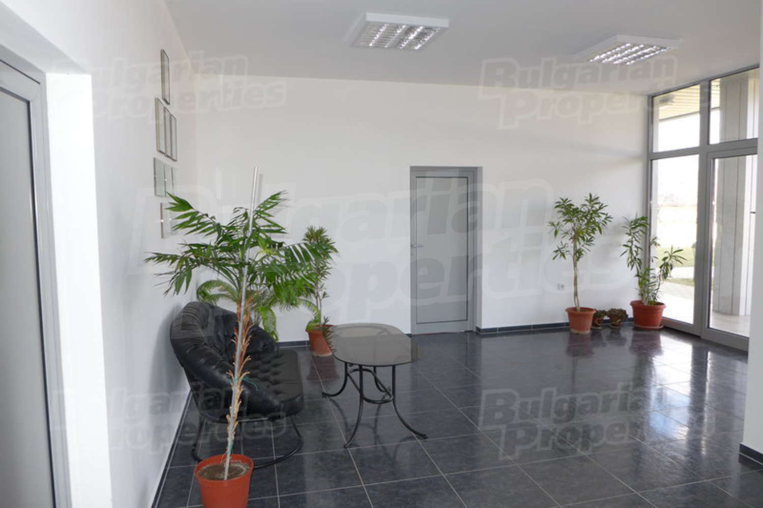 Gallery Picture 10