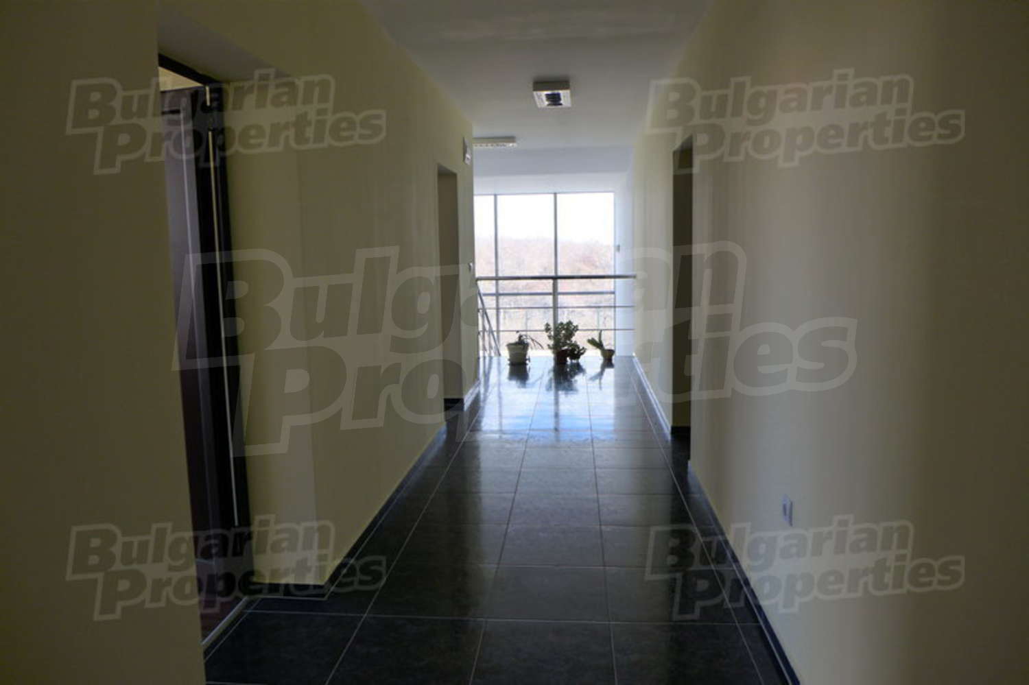 Gallery Picture 22