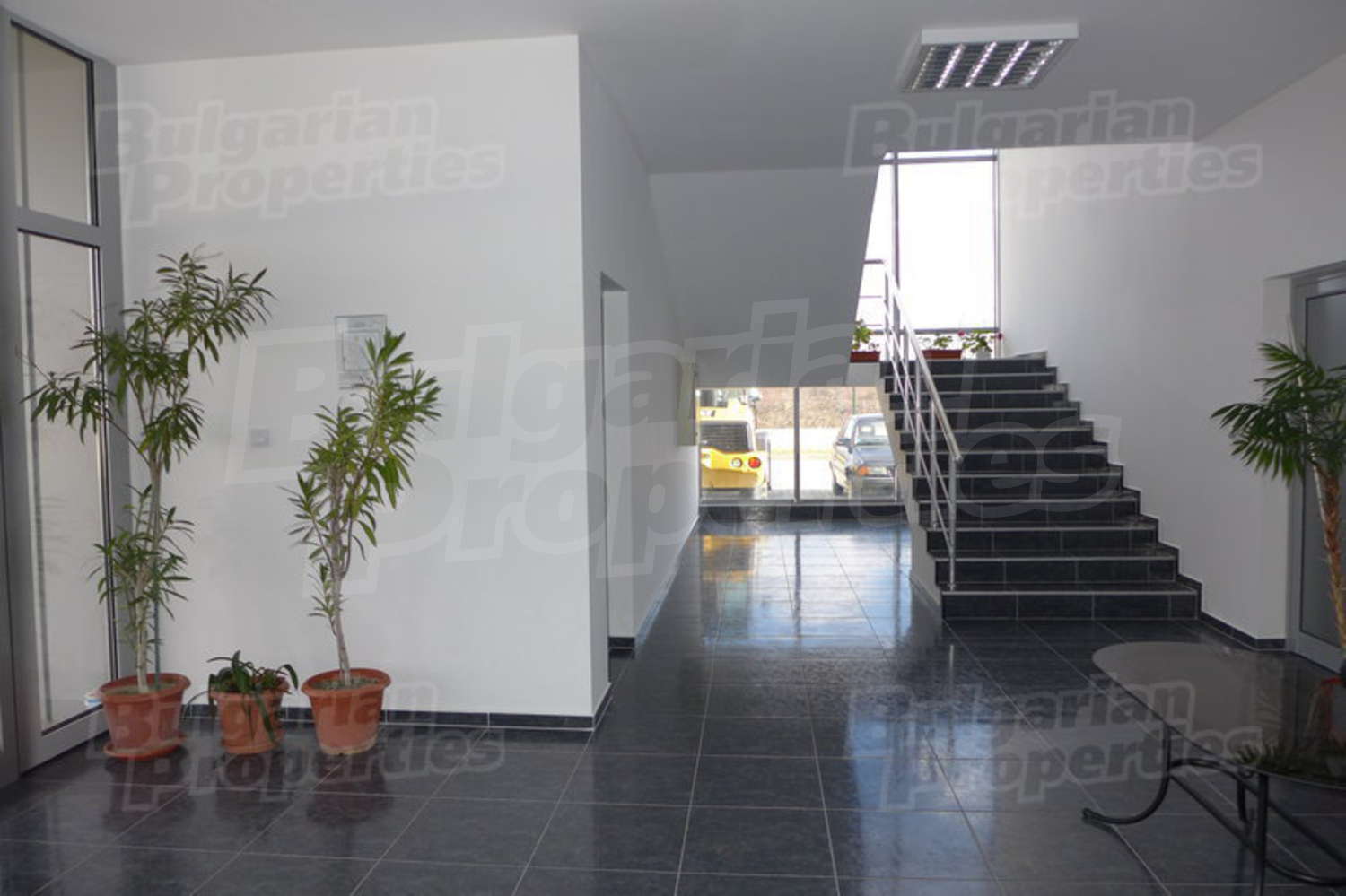 Gallery Picture 7