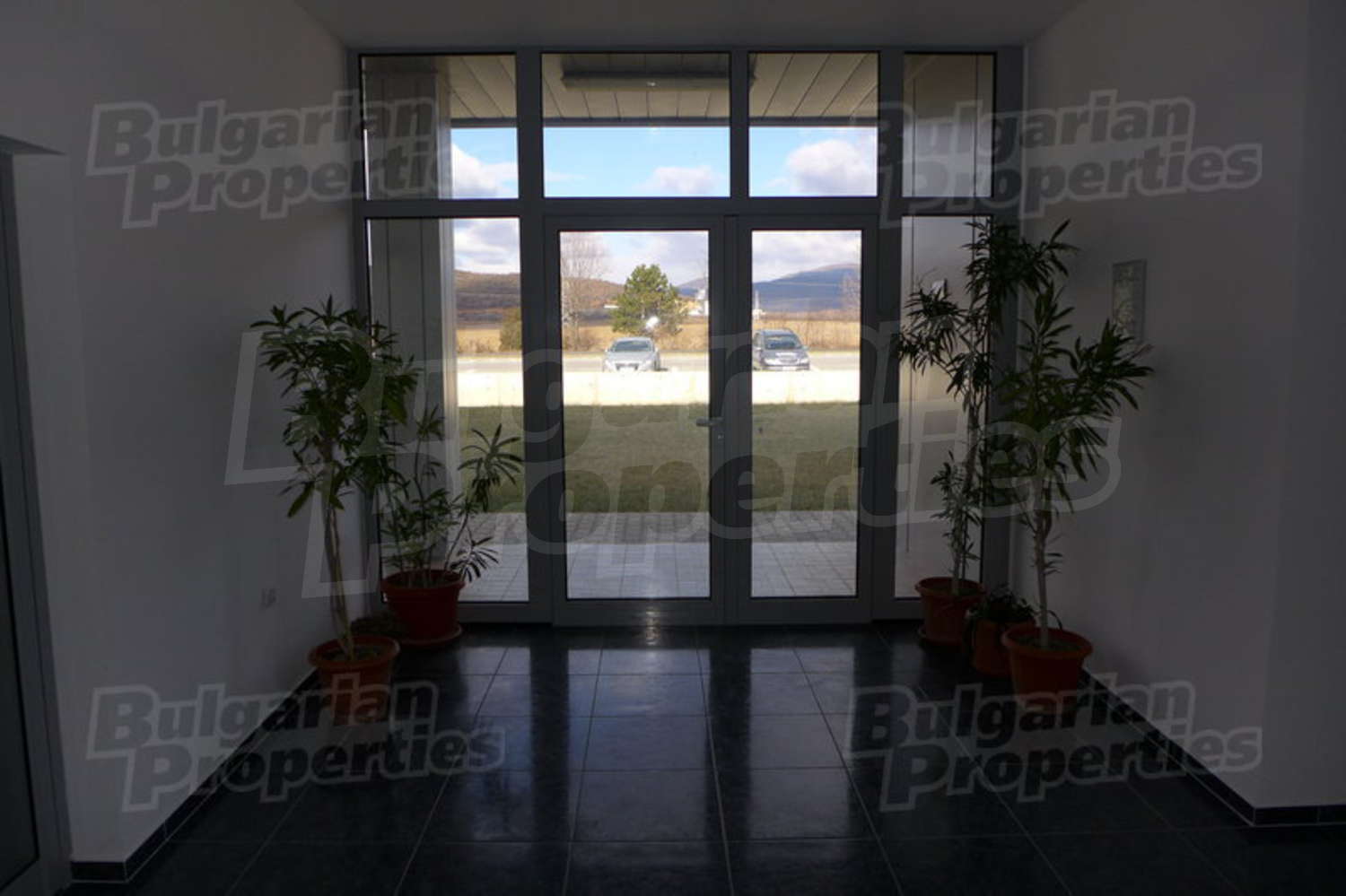Gallery Picture 8