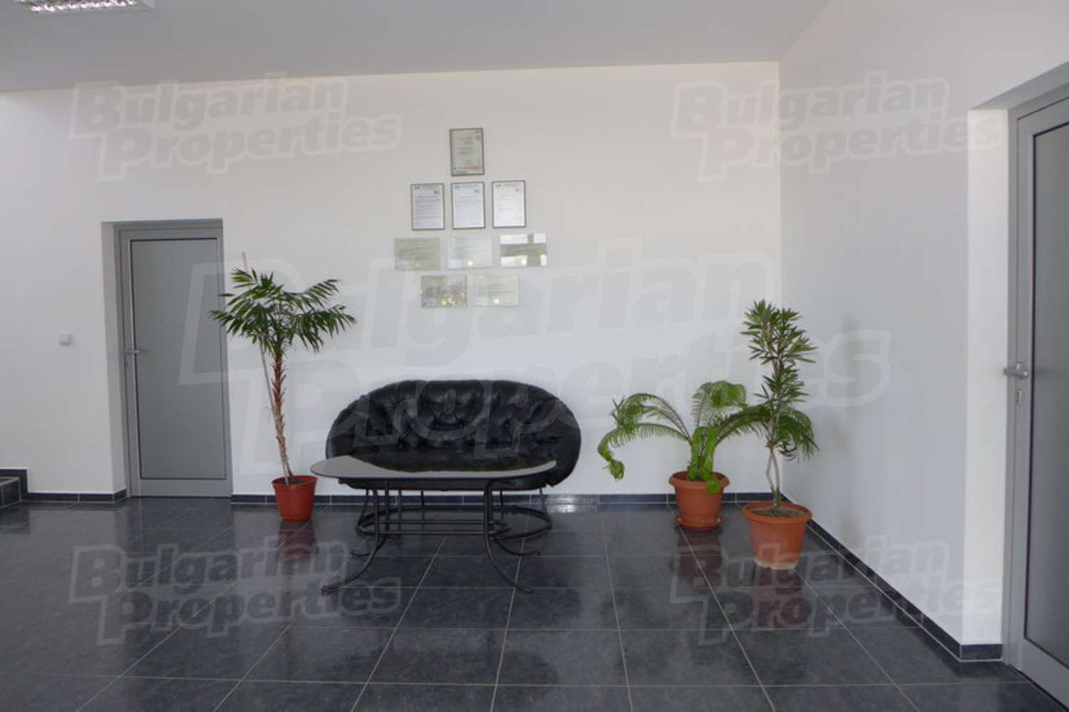 Gallery Picture 9
