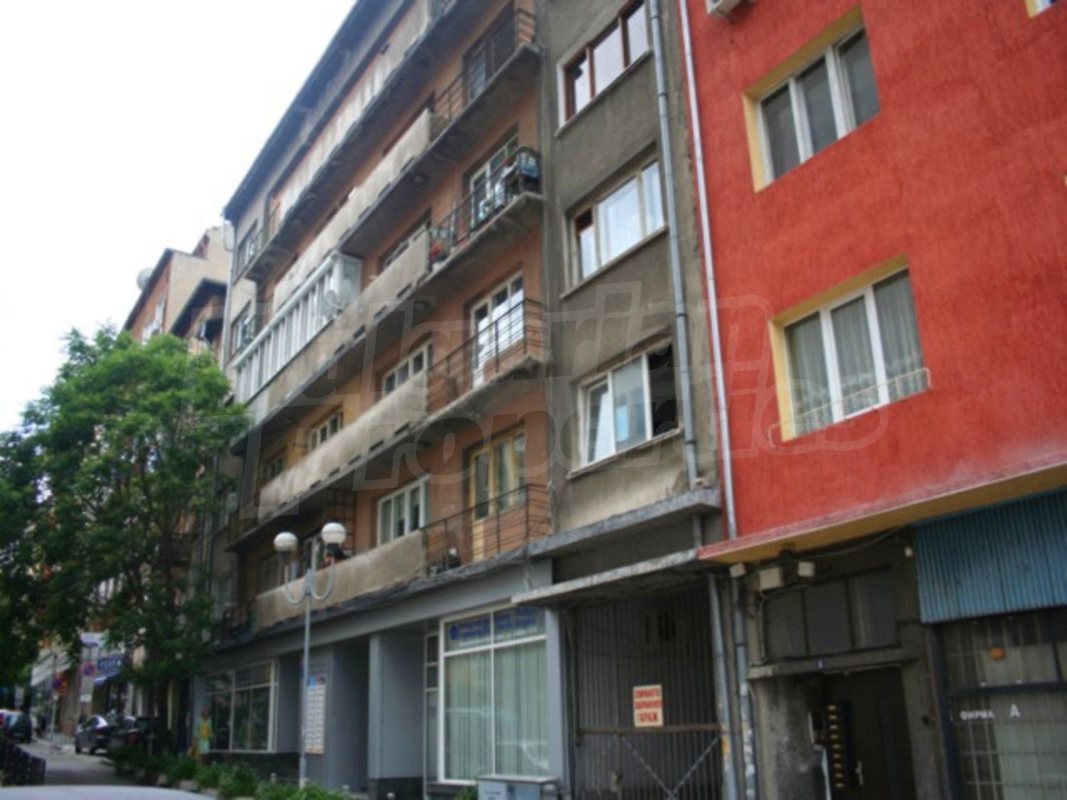 Gallery Picture 13
