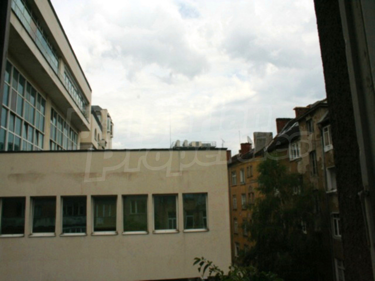 Gallery Picture 8
