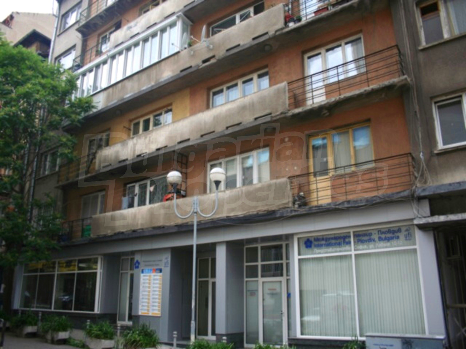 Gallery Picture 12