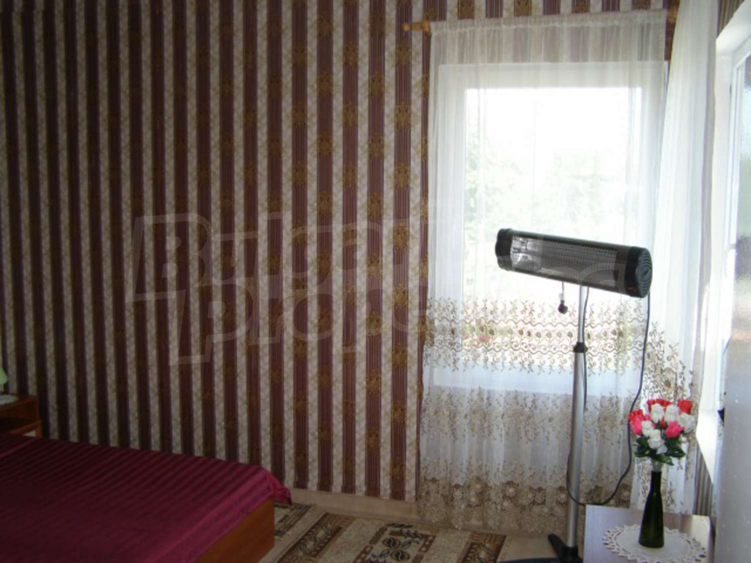 Gallery Picture 24