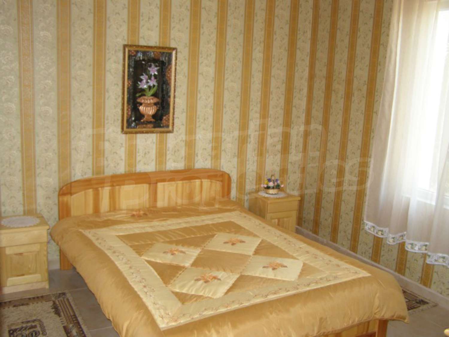 Gallery Picture 27
