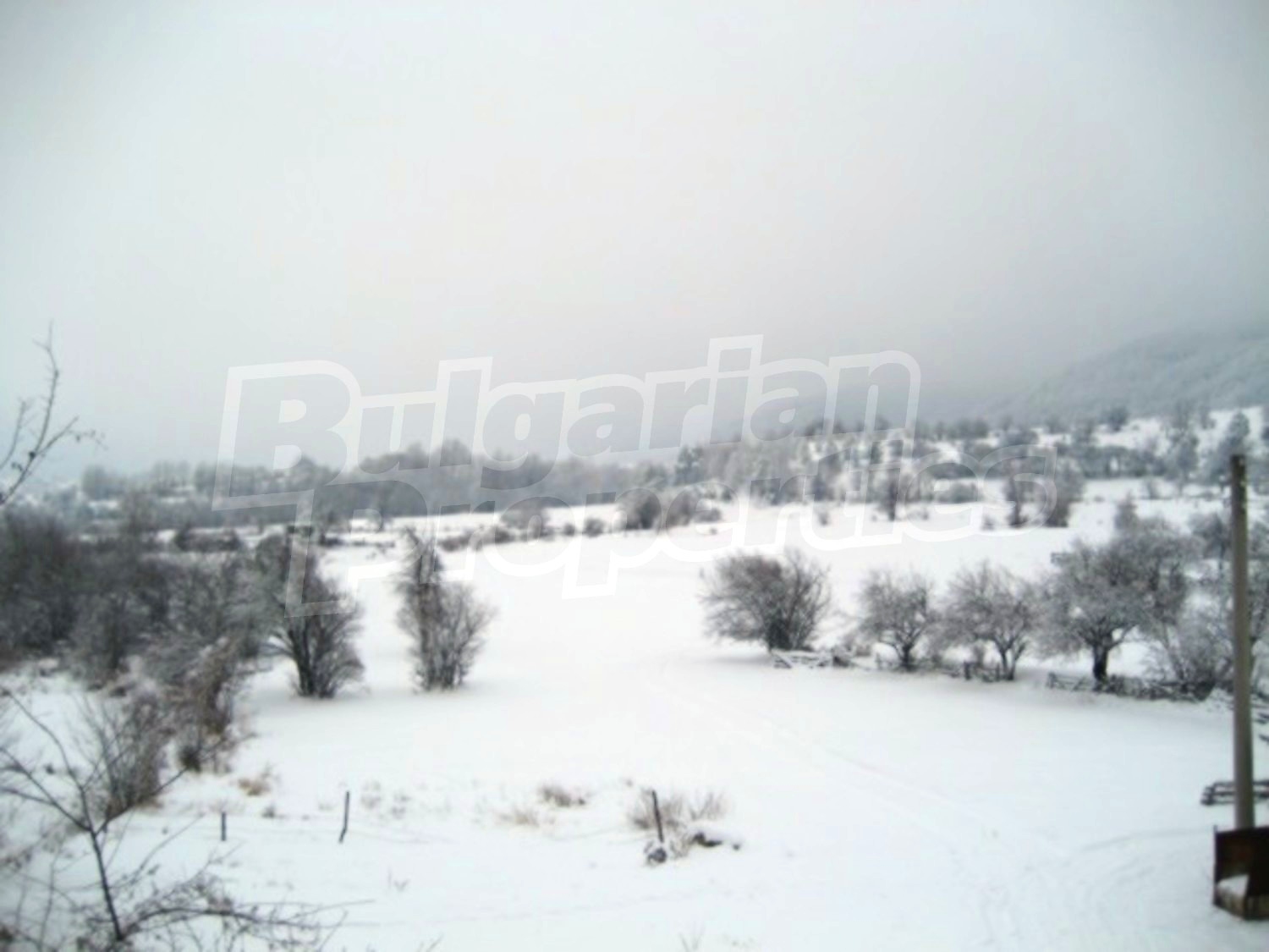 Gallery Picture 20