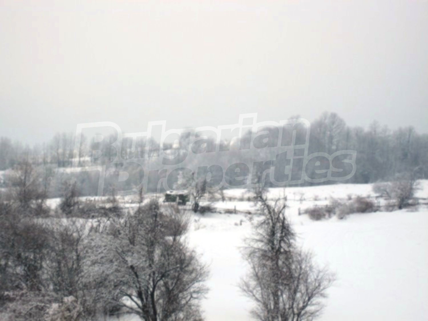 Gallery Picture 21