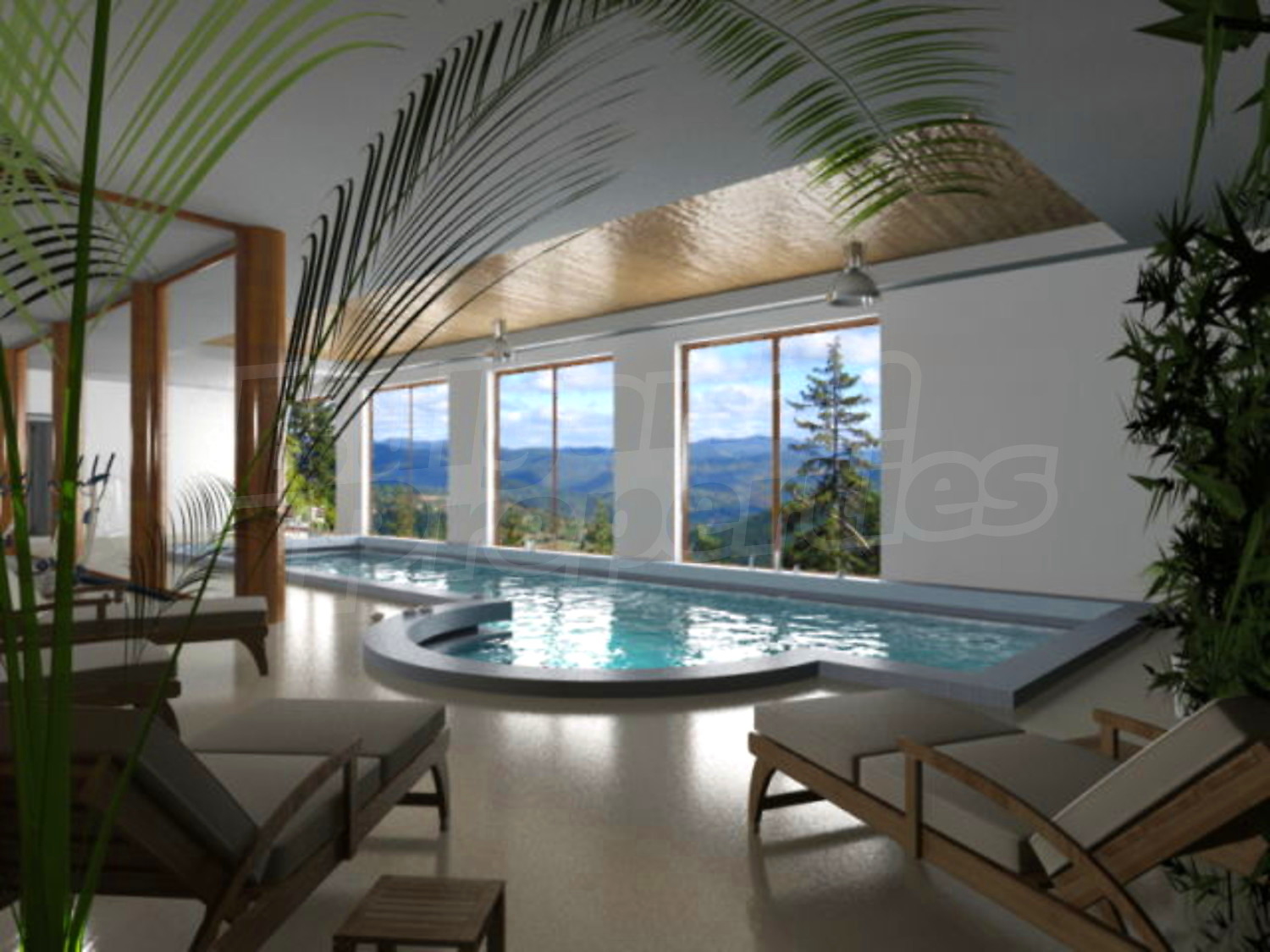 Gallery Picture 6