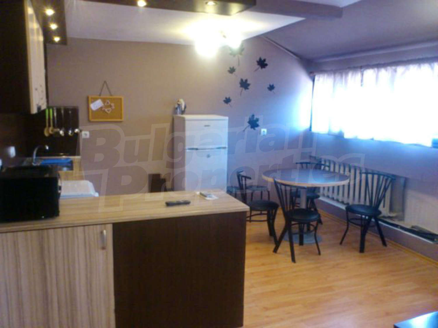 Gallery Picture 5