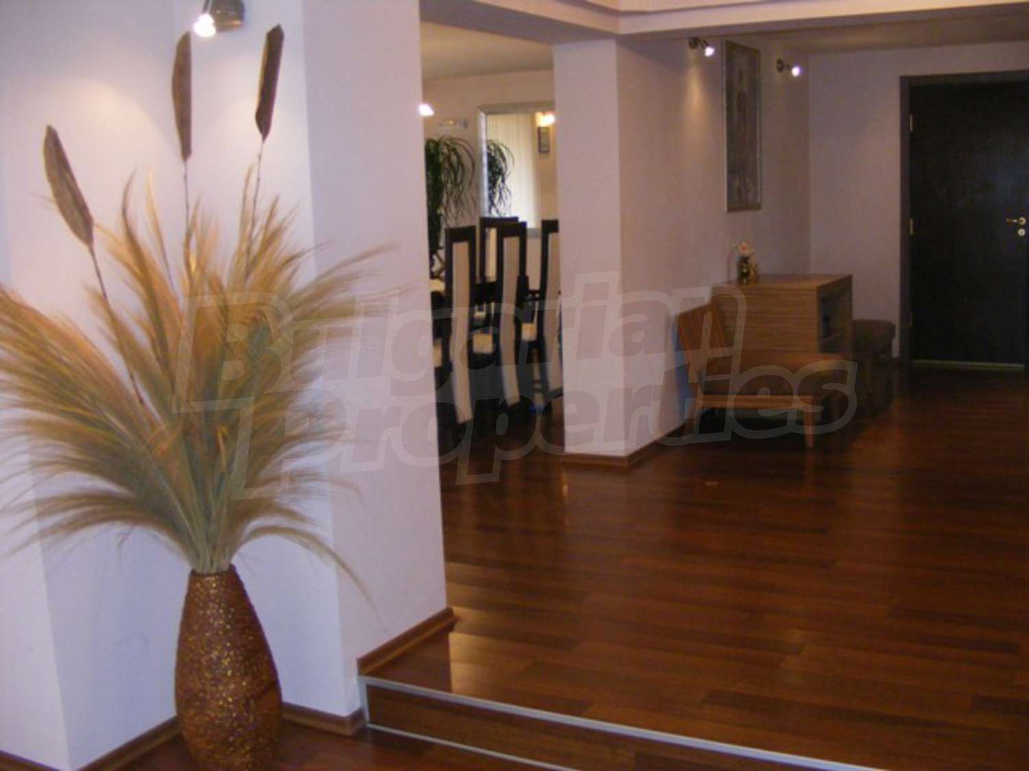 Gallery Picture 14
