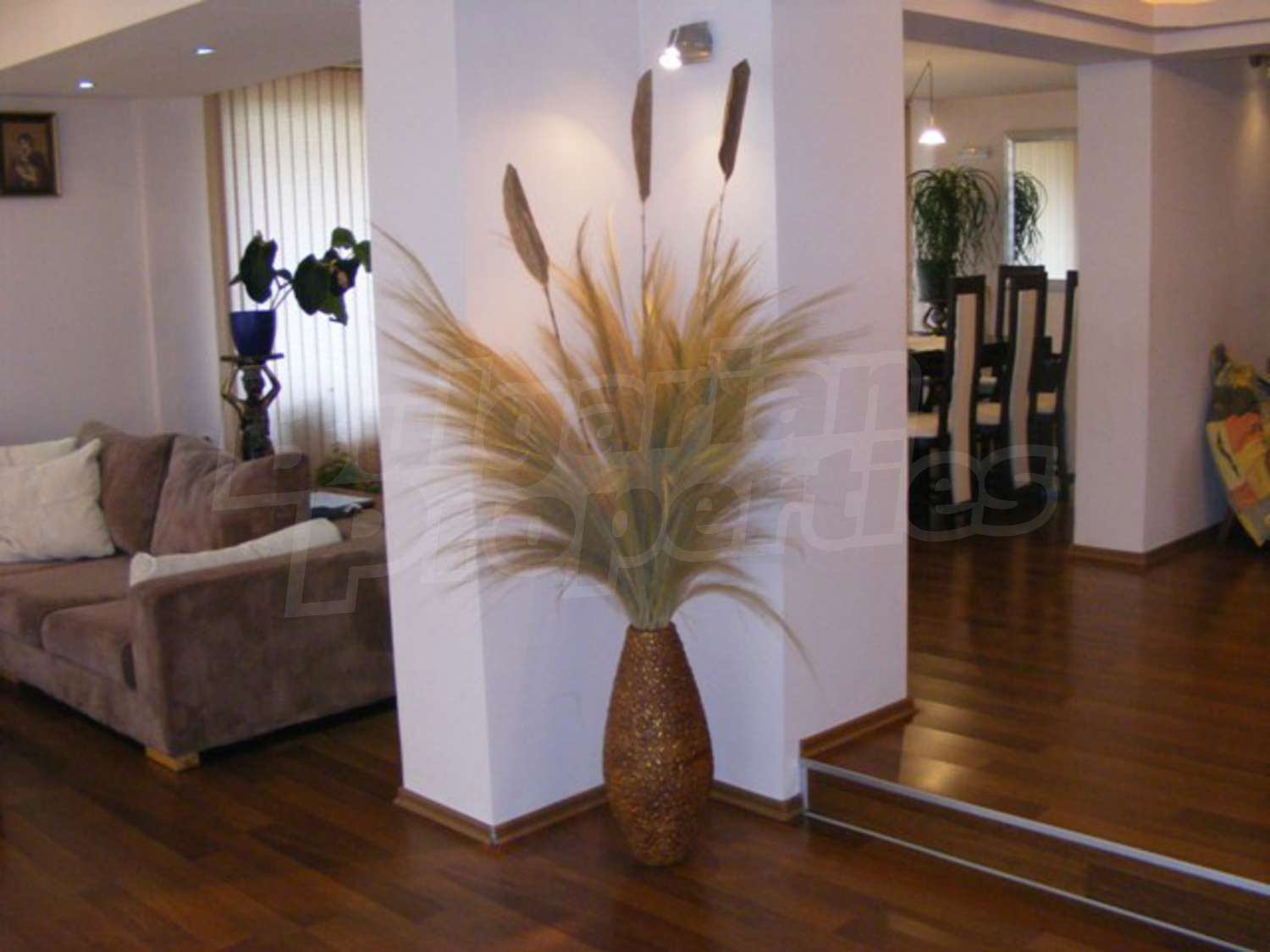 Gallery Picture 17