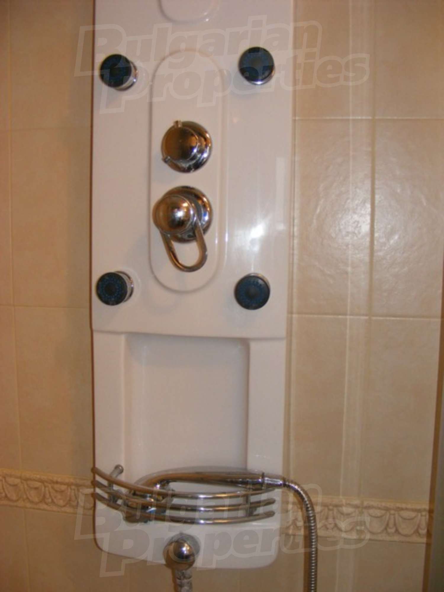 Gallery Picture 31