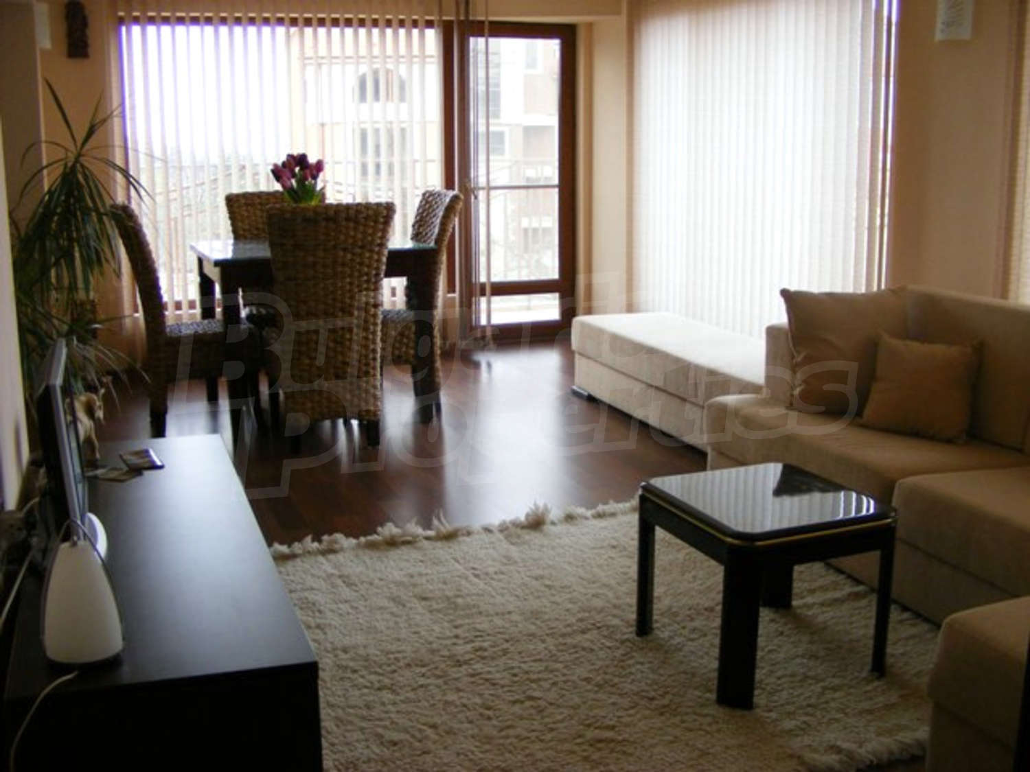 Gallery Picture 33