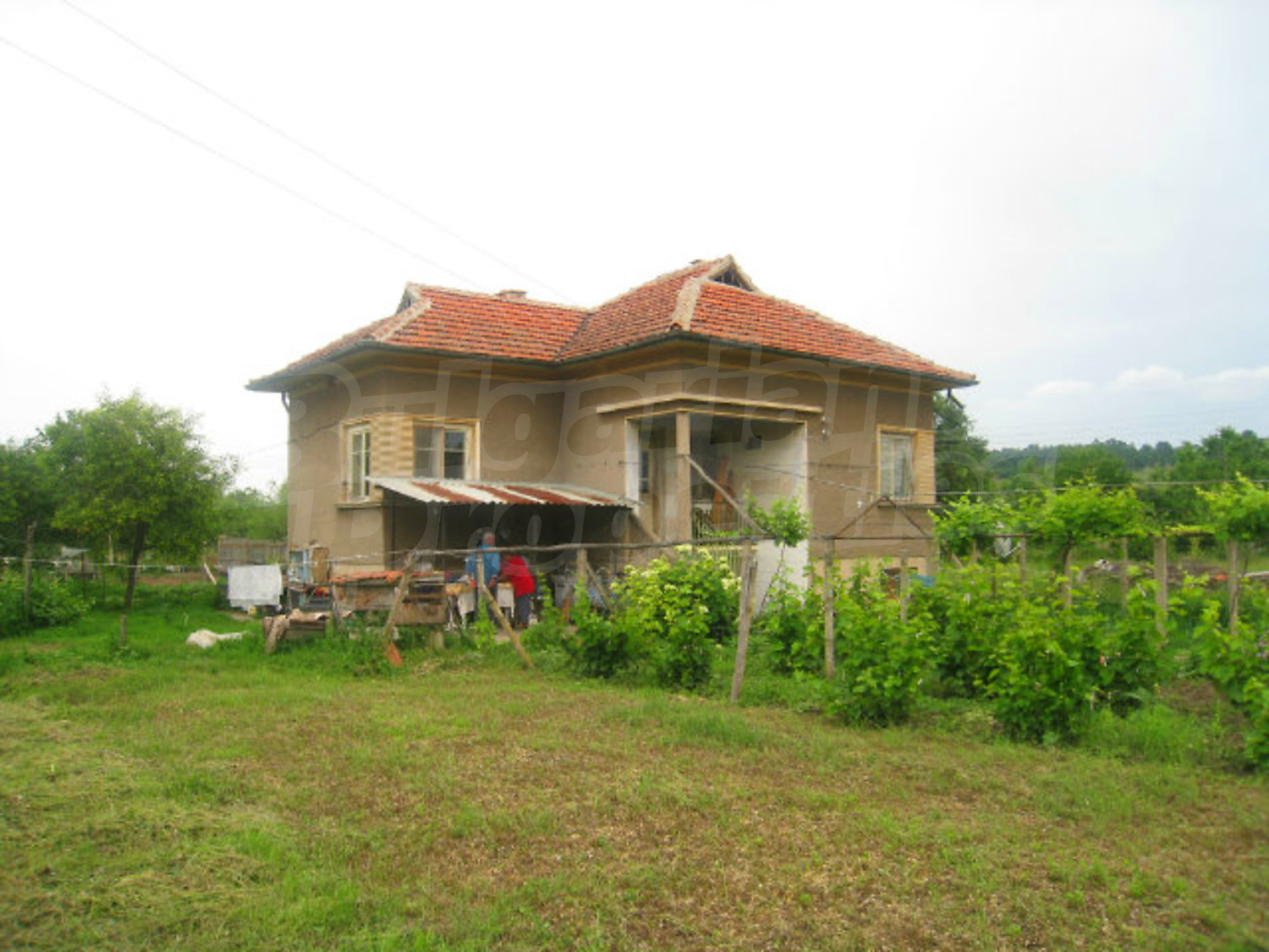 Gallery Picture 12