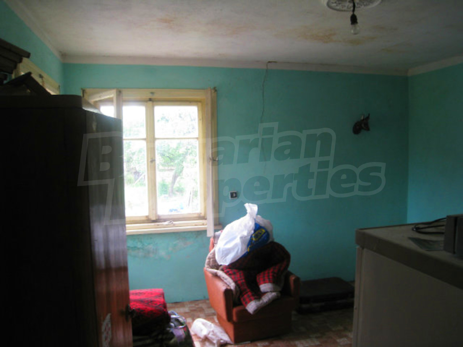 Gallery Picture 16