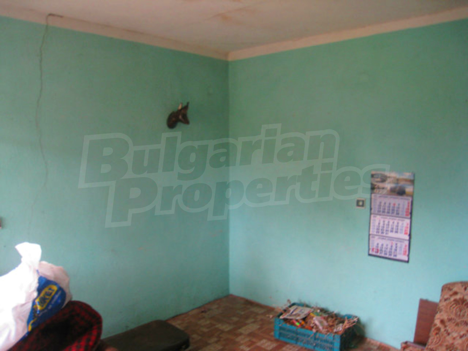 Gallery Picture 17