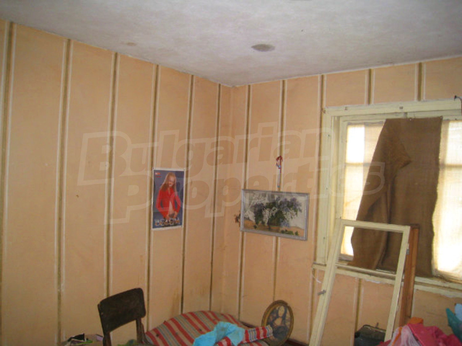 Gallery Picture 19