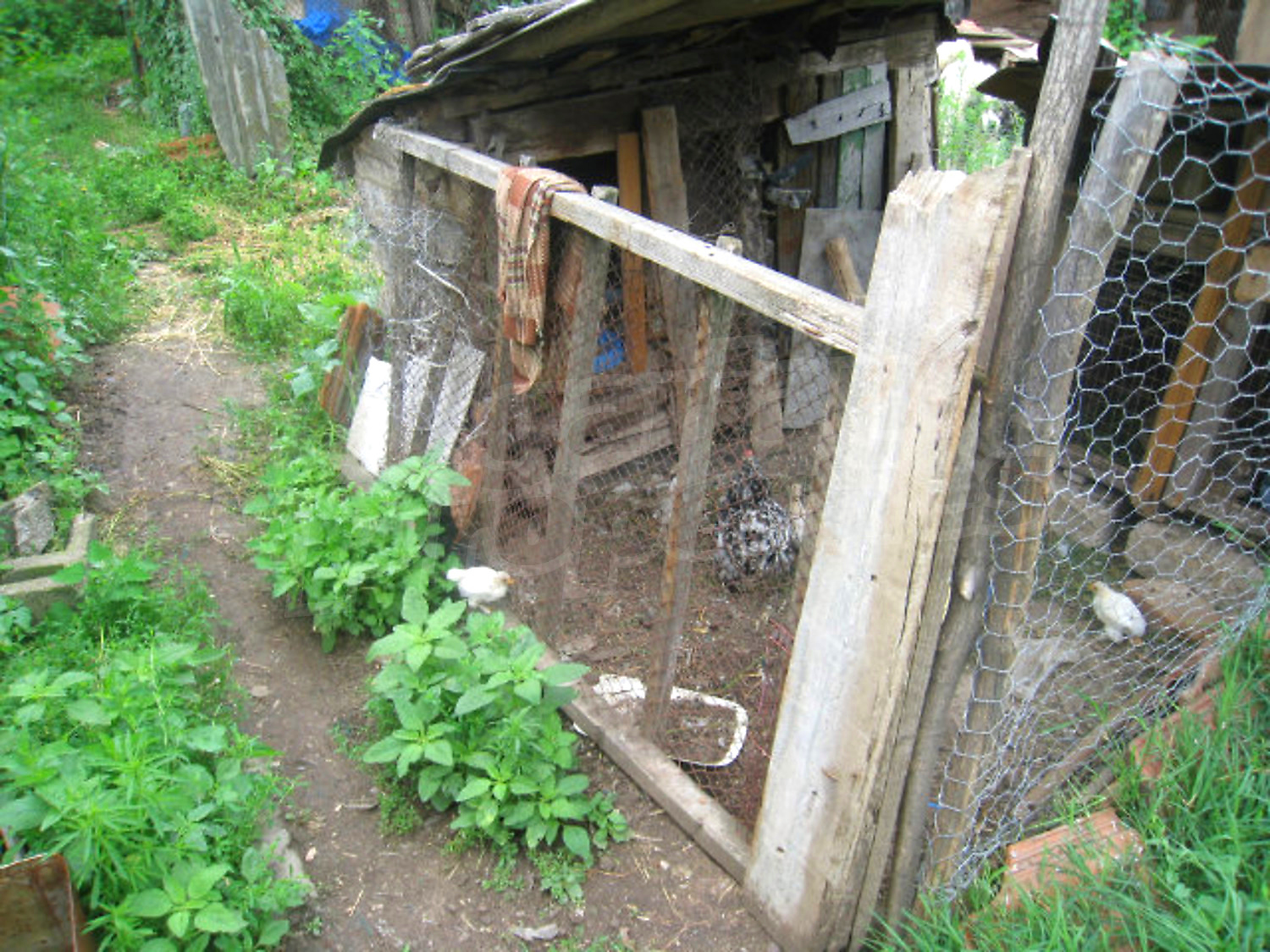 Gallery Picture 8