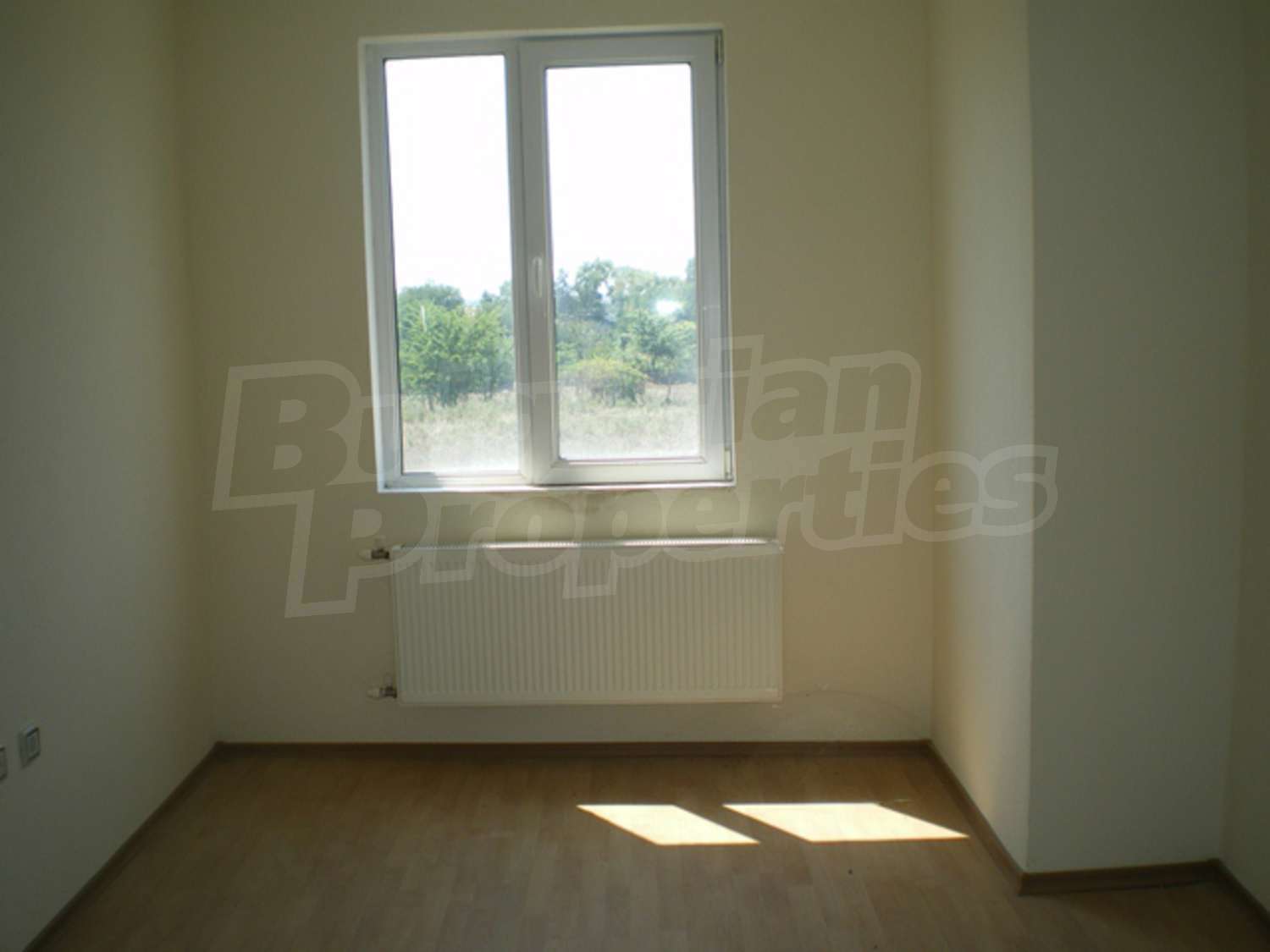 Gallery Picture 19