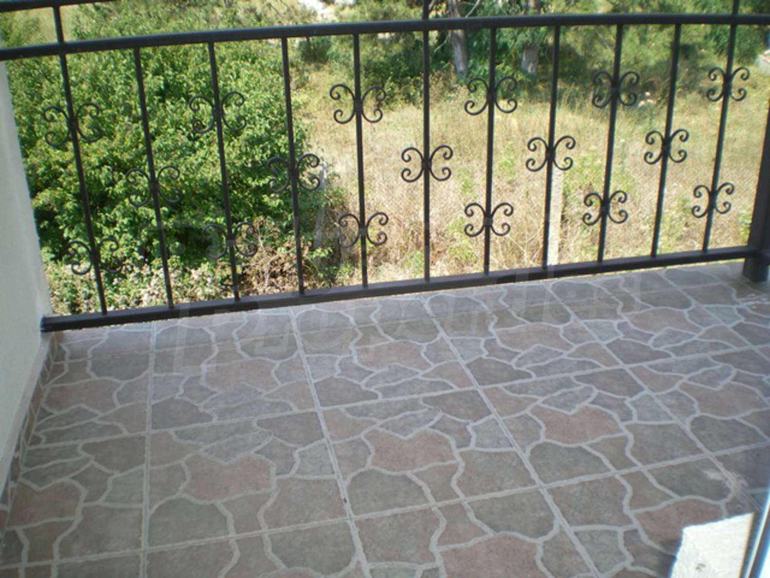 Gallery Picture 26
