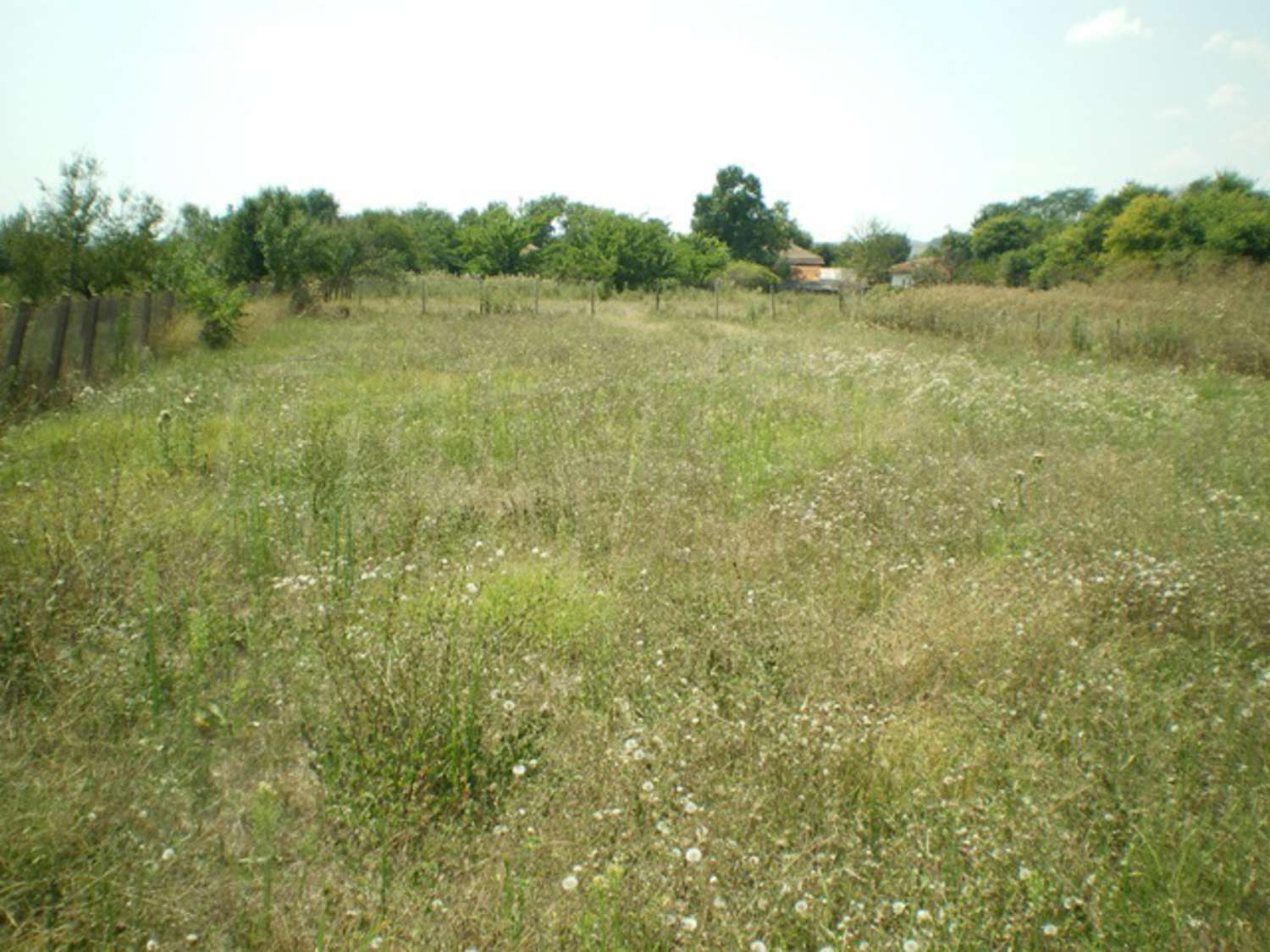 Gallery Picture 30
