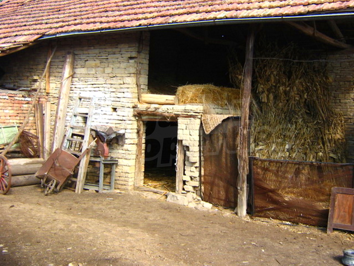Gallery Picture 10