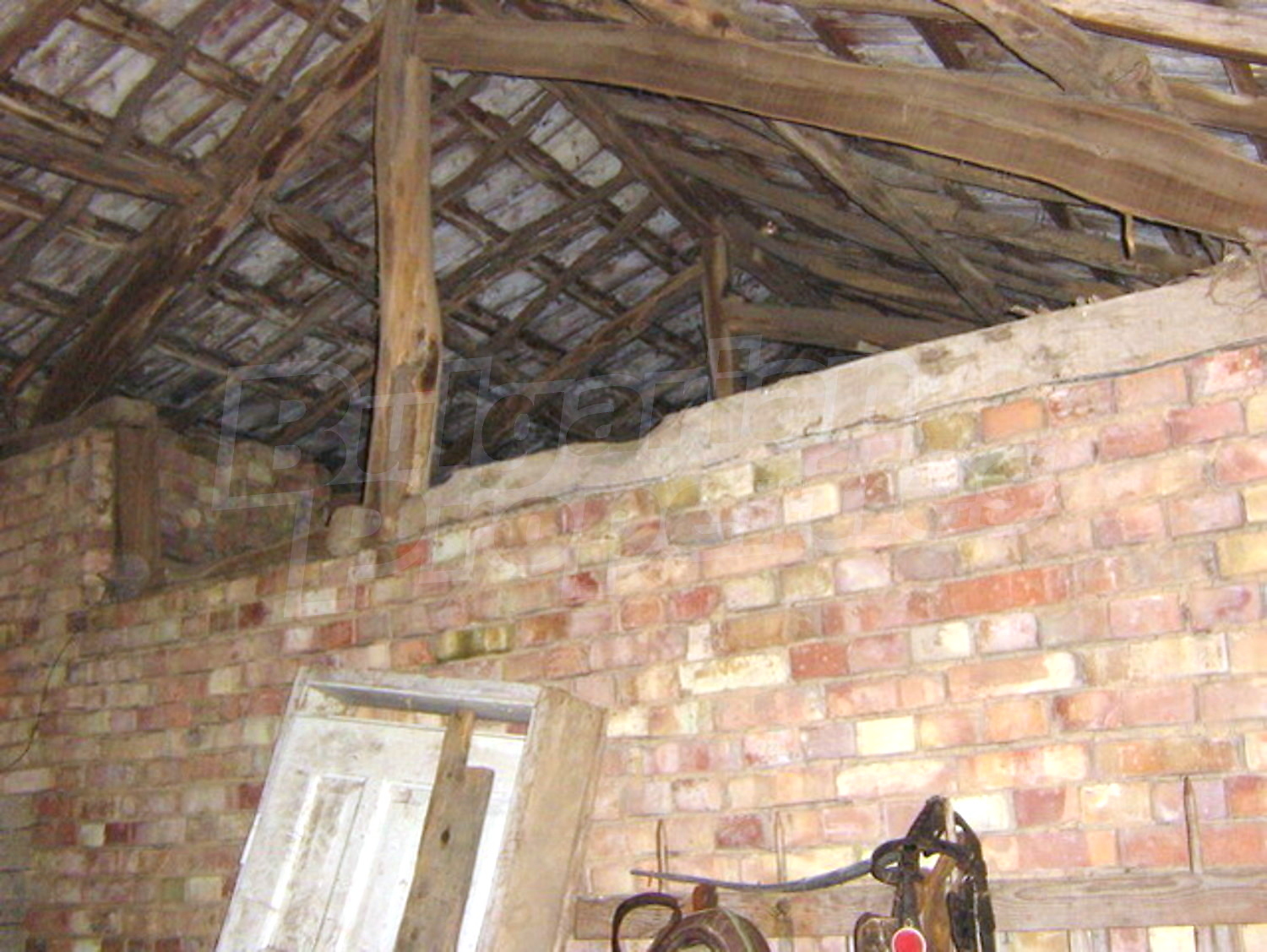 Gallery Picture 12