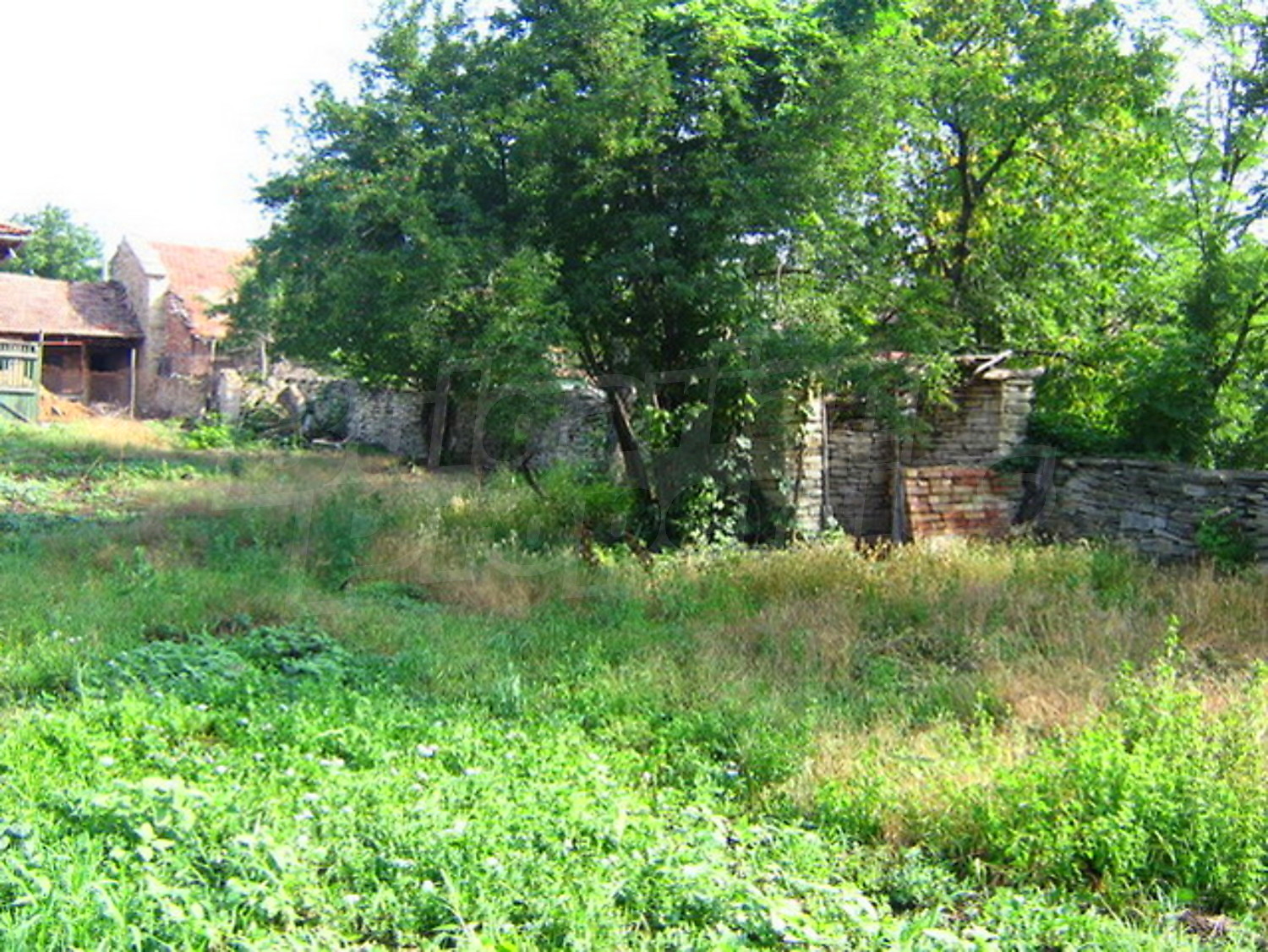 Gallery Picture 15