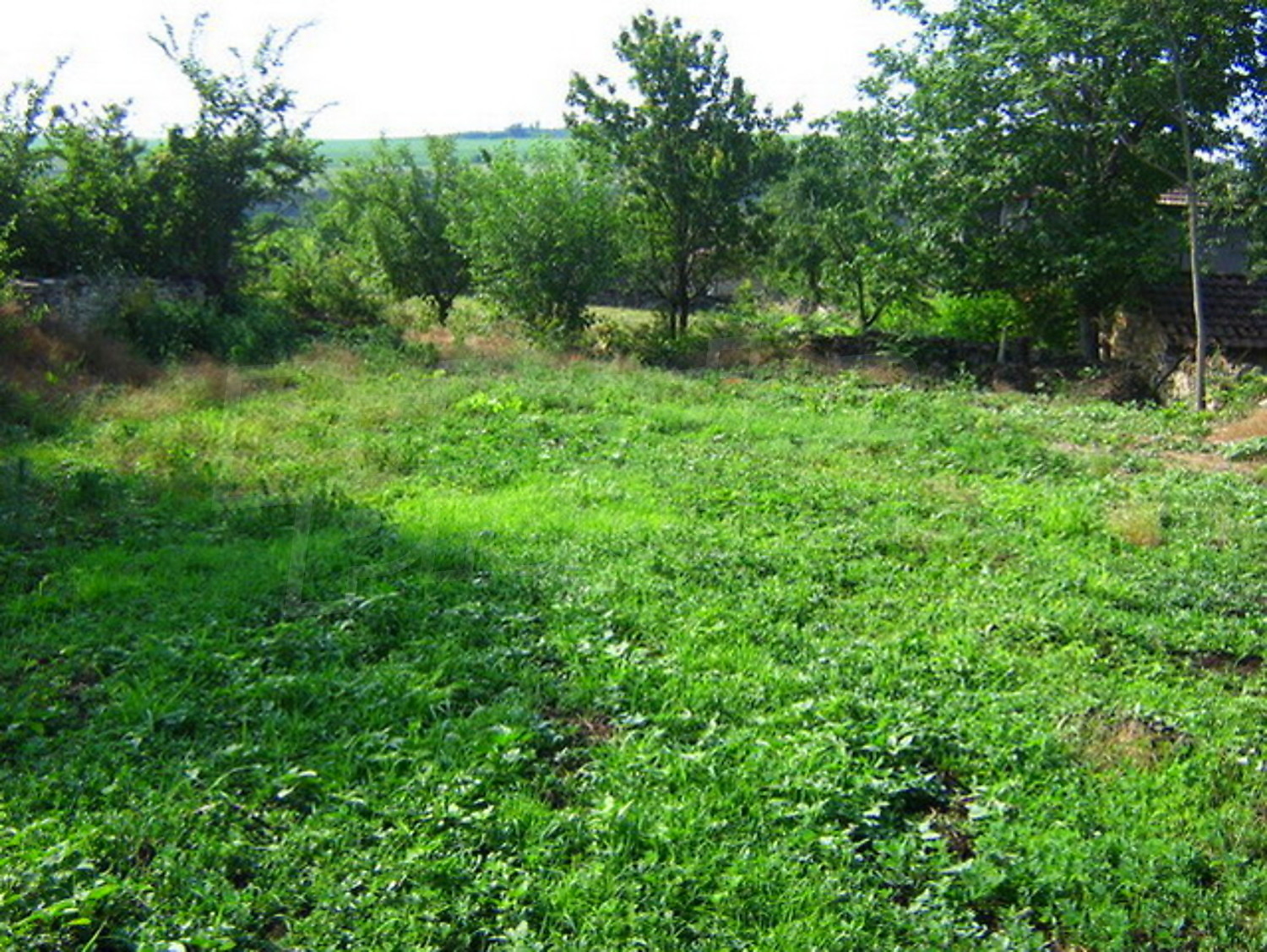 Gallery Picture 16