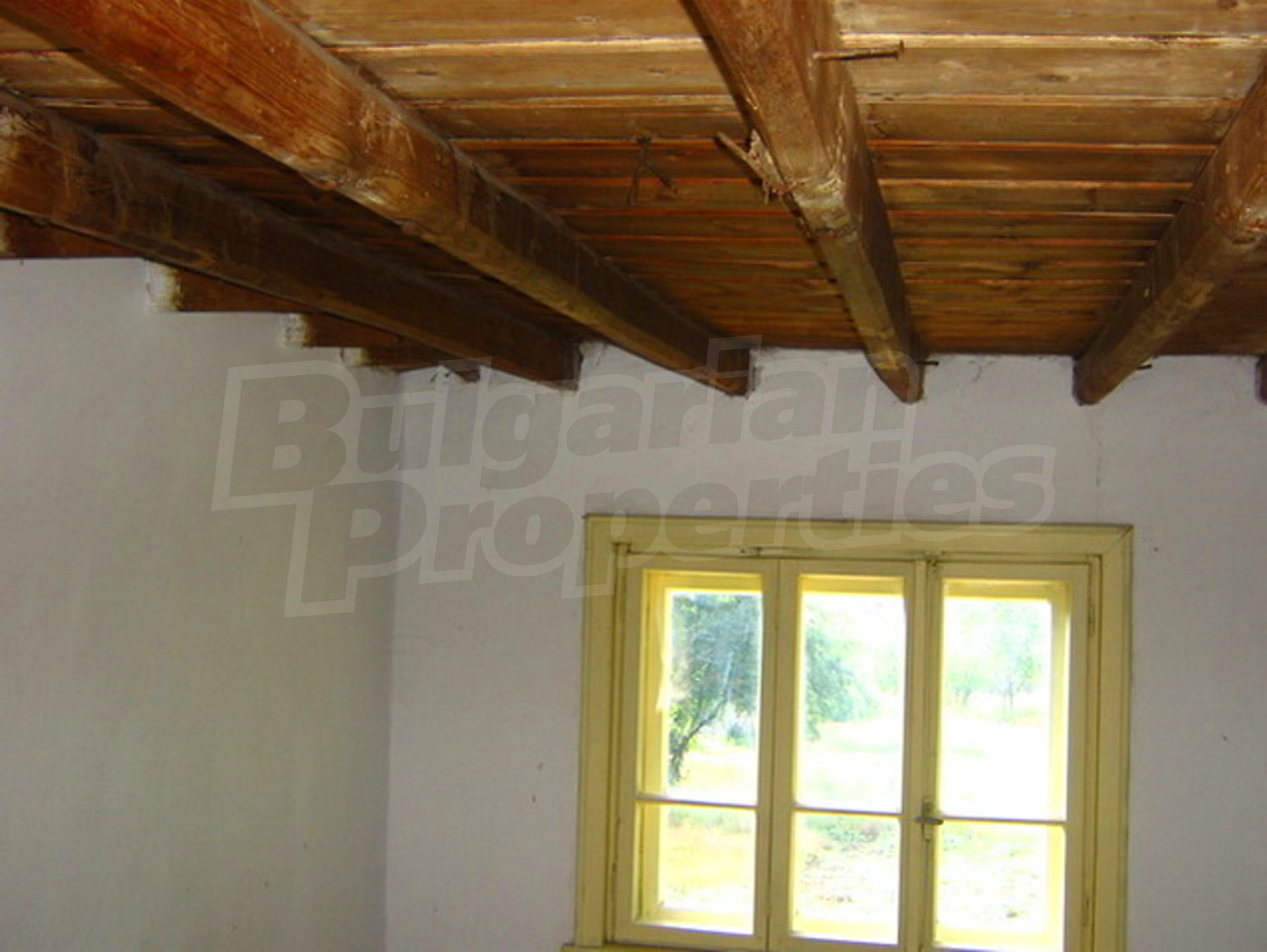 Gallery Picture 6