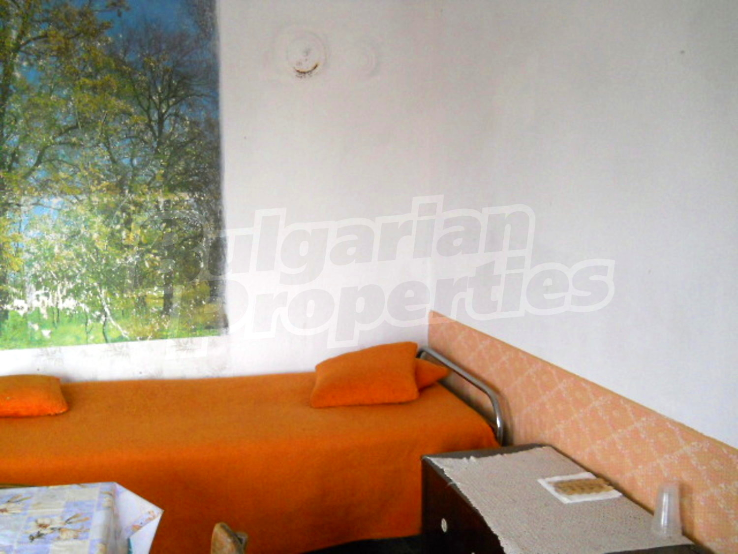 Gallery Picture 10