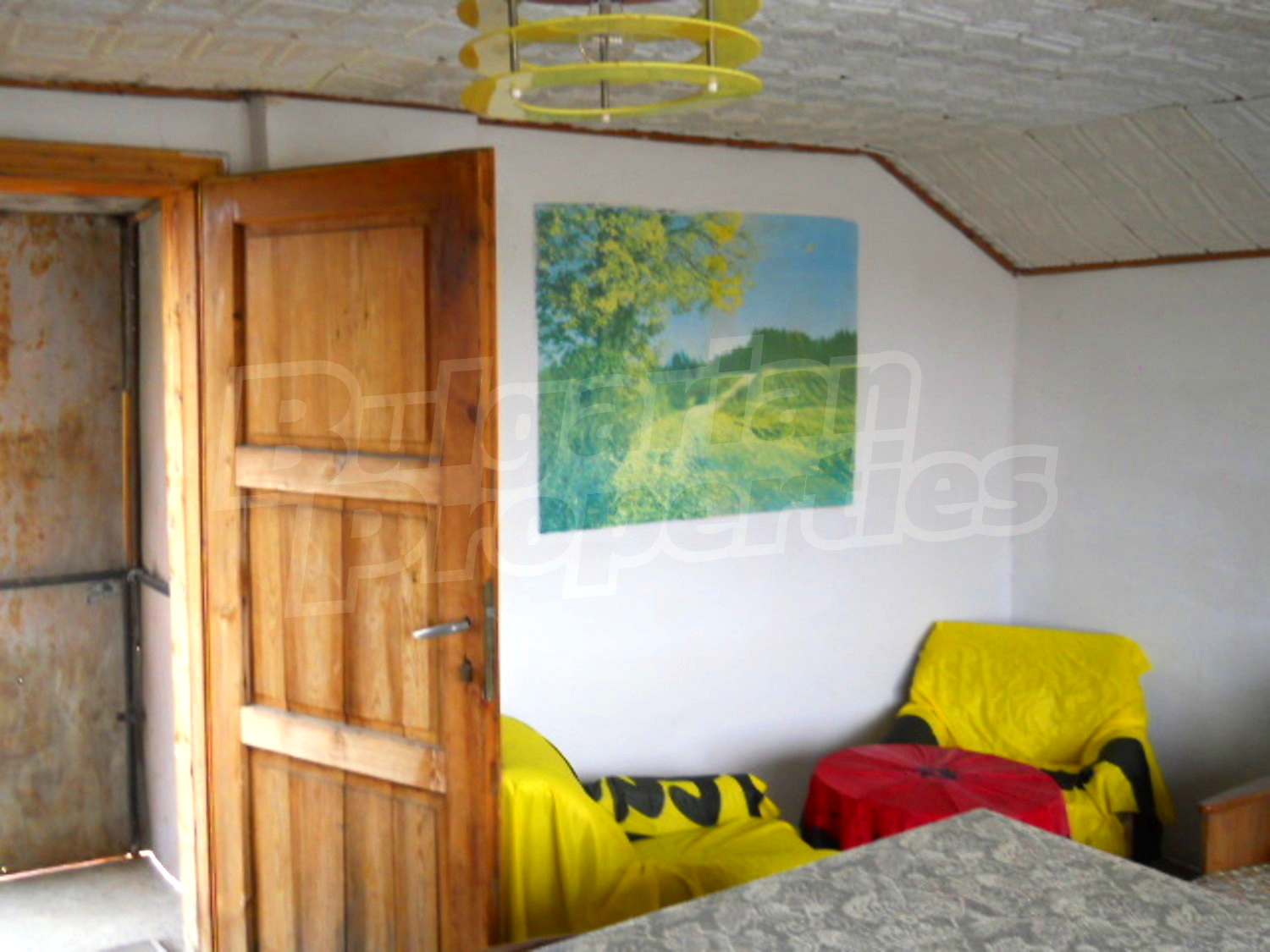 Gallery Picture 15