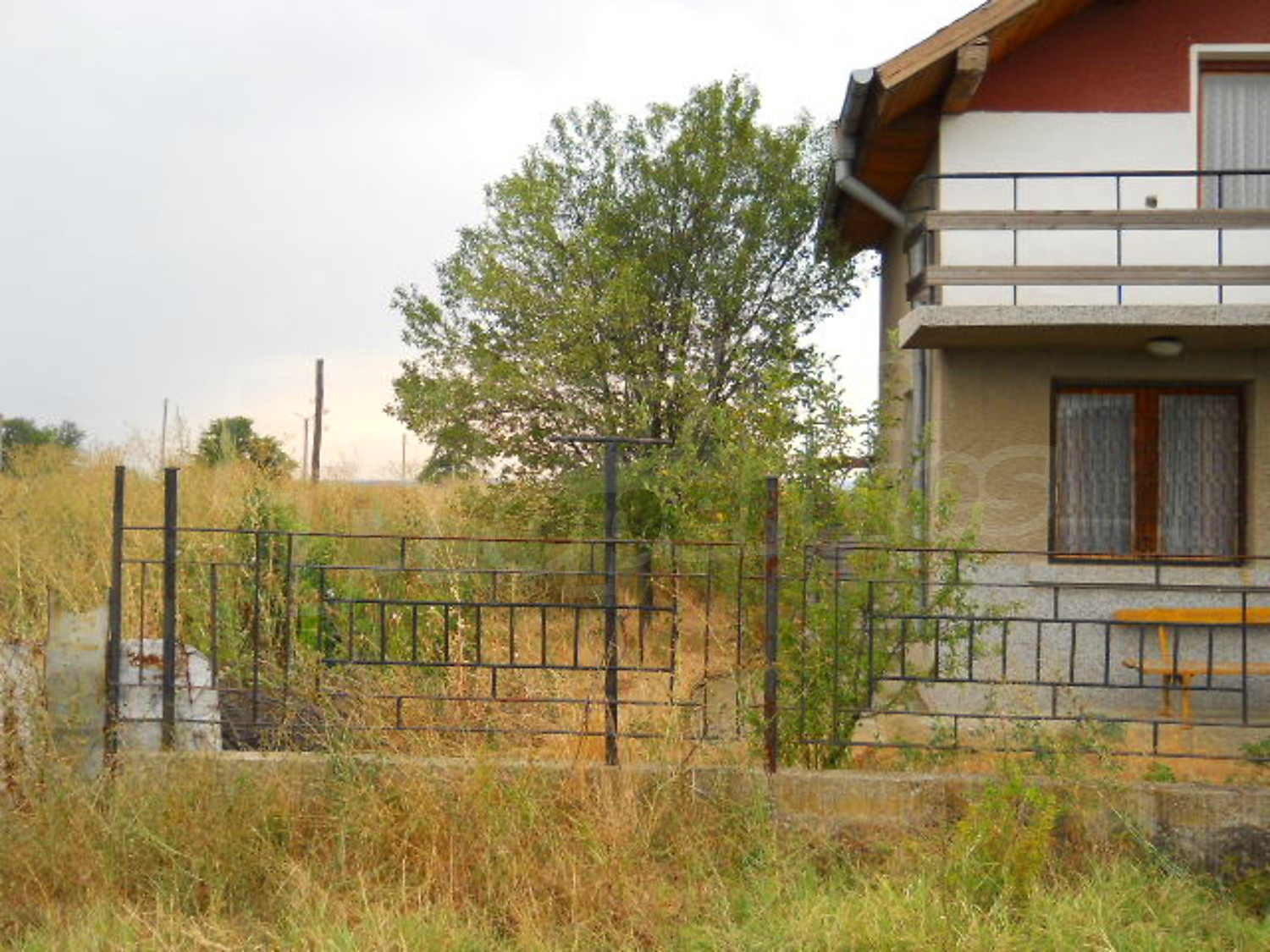 Gallery Picture 20