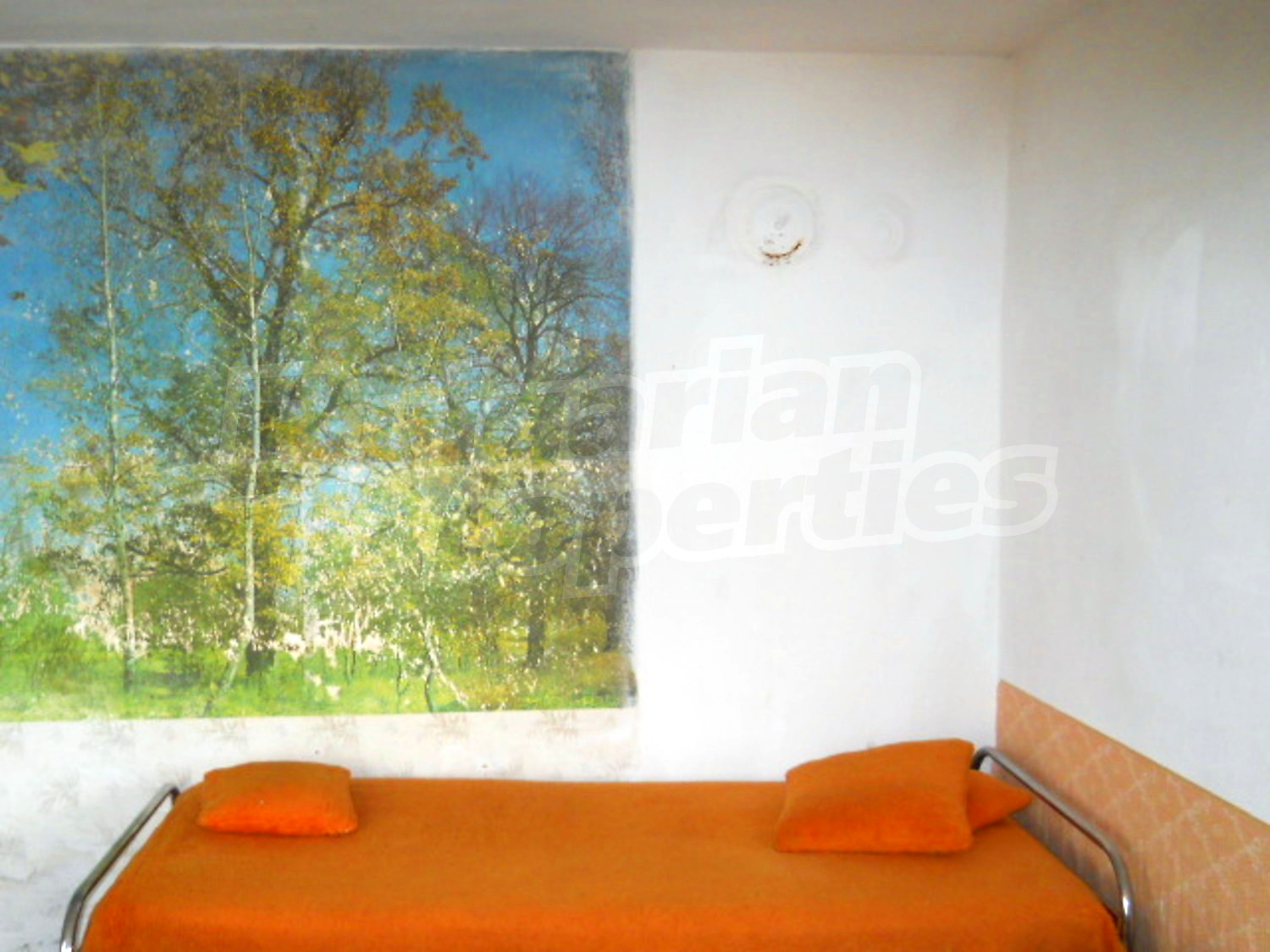 Gallery Picture 7