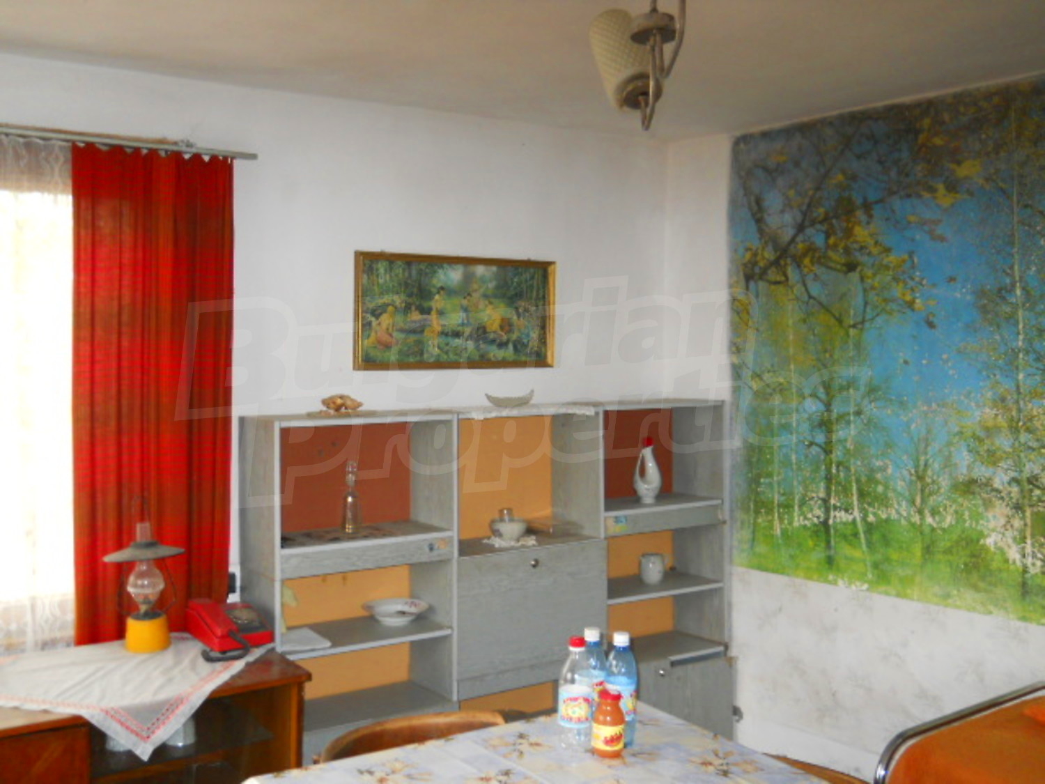 Gallery Picture 8