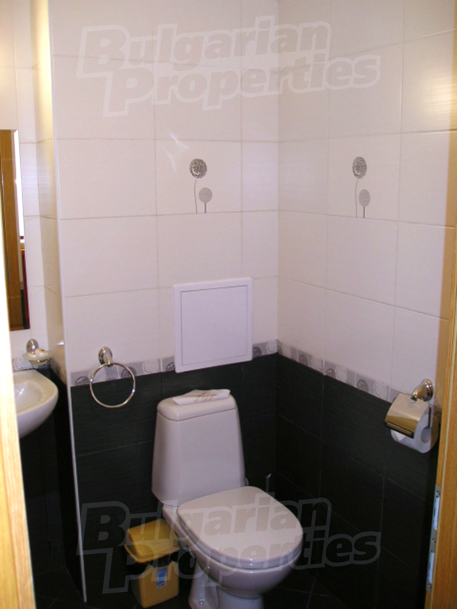 Gallery Picture 32