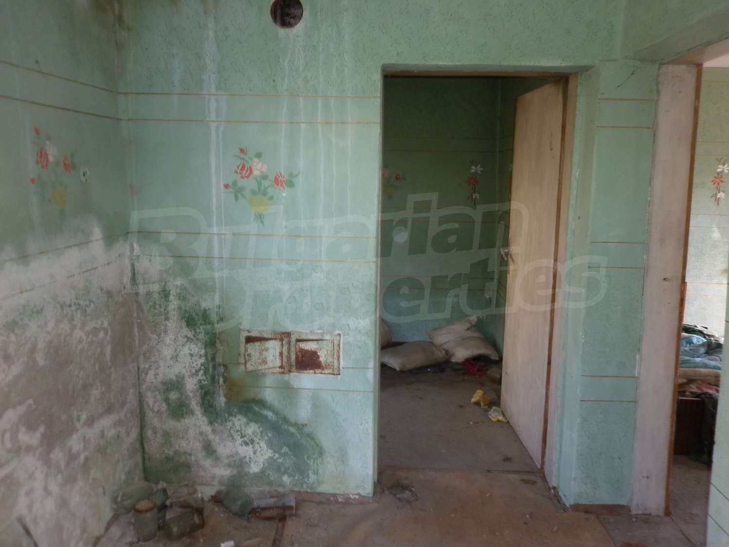 Gallery Picture 13